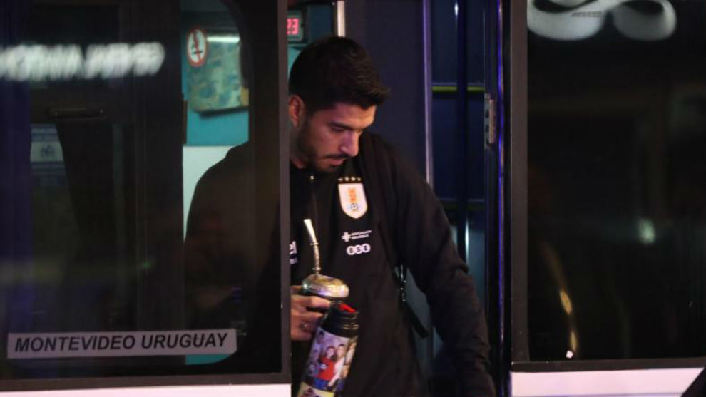 Suarez Tea Mundial 2018 Rusia: Uruguay viaja a Rusia con 180 kilos de yerba mate y ...