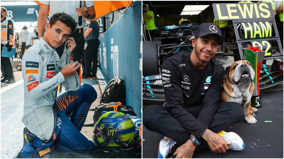Norris y Hamilton.