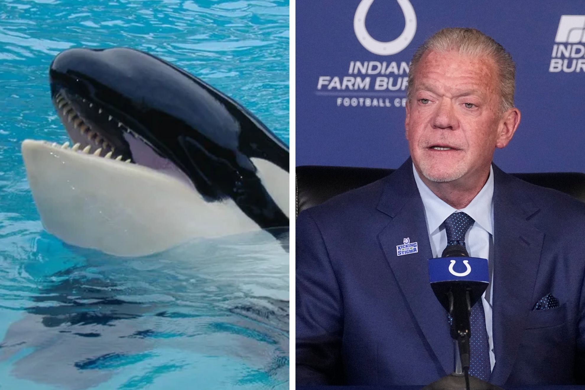 Lolita aka Toki, the Miami Seaquarium orca Jim Irsay wanted to free, dies in captivity