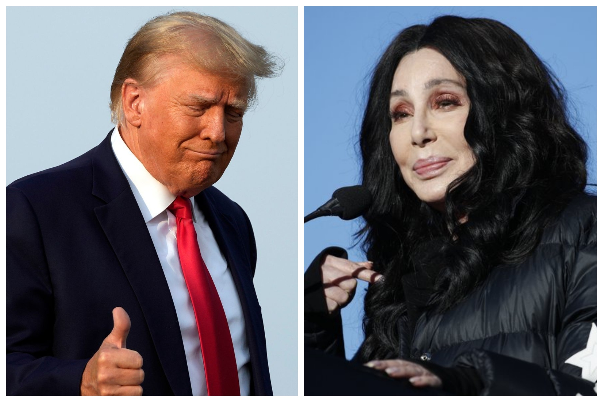 Donald Trump / Cher