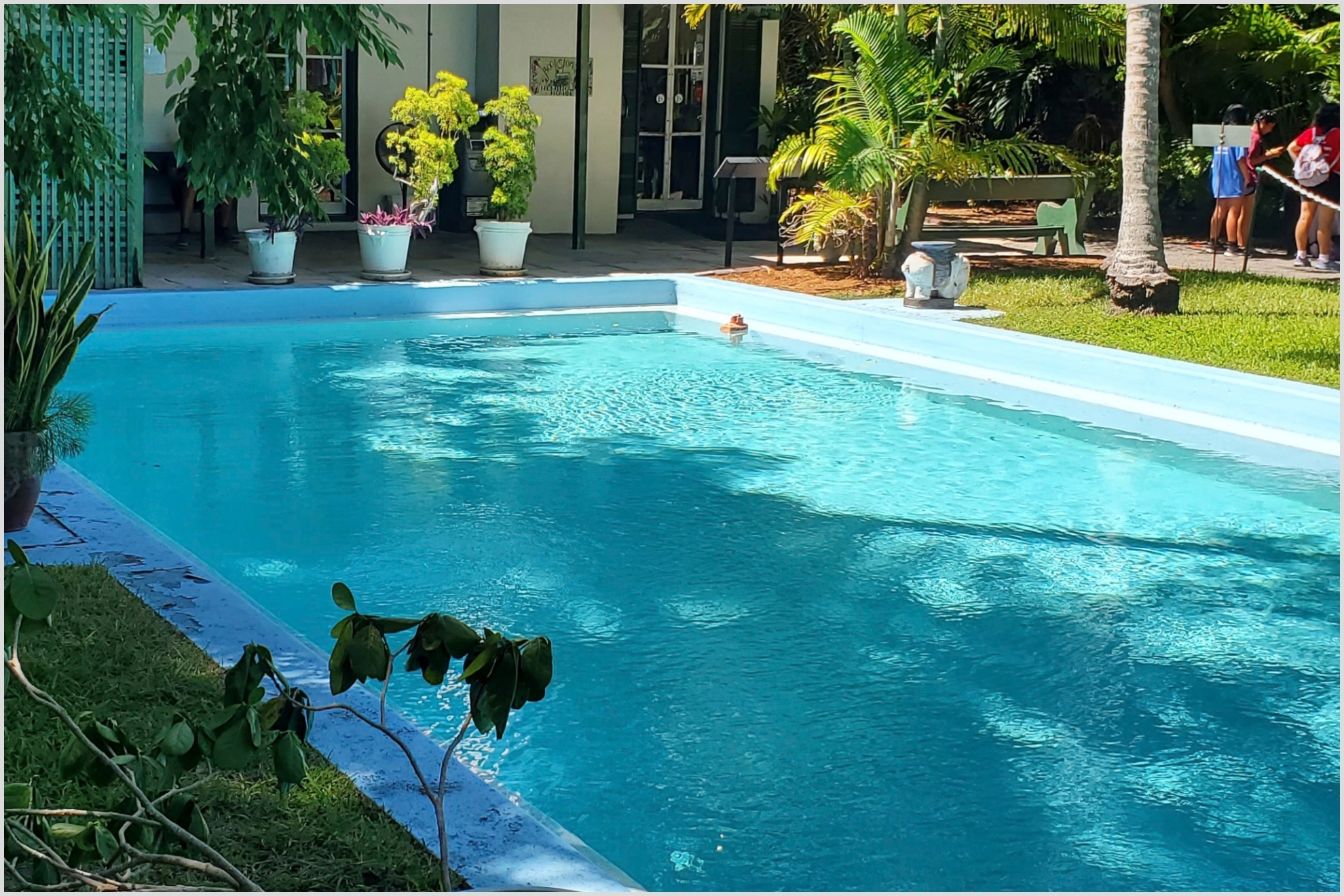 The swimming pool at the Hemingway Home & Museum in Key West, Florida, on Wednesday, July 17, 2024