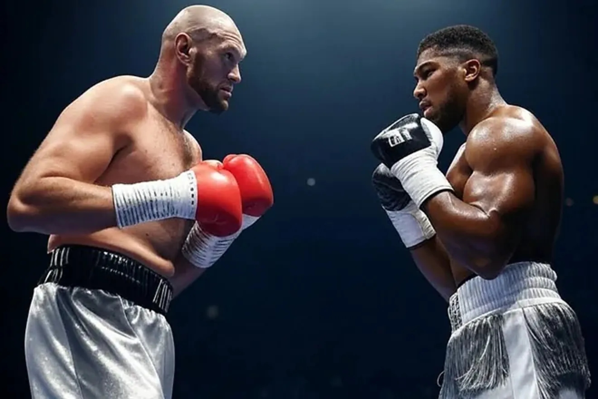 Tyson Fury and Anthony Joshua