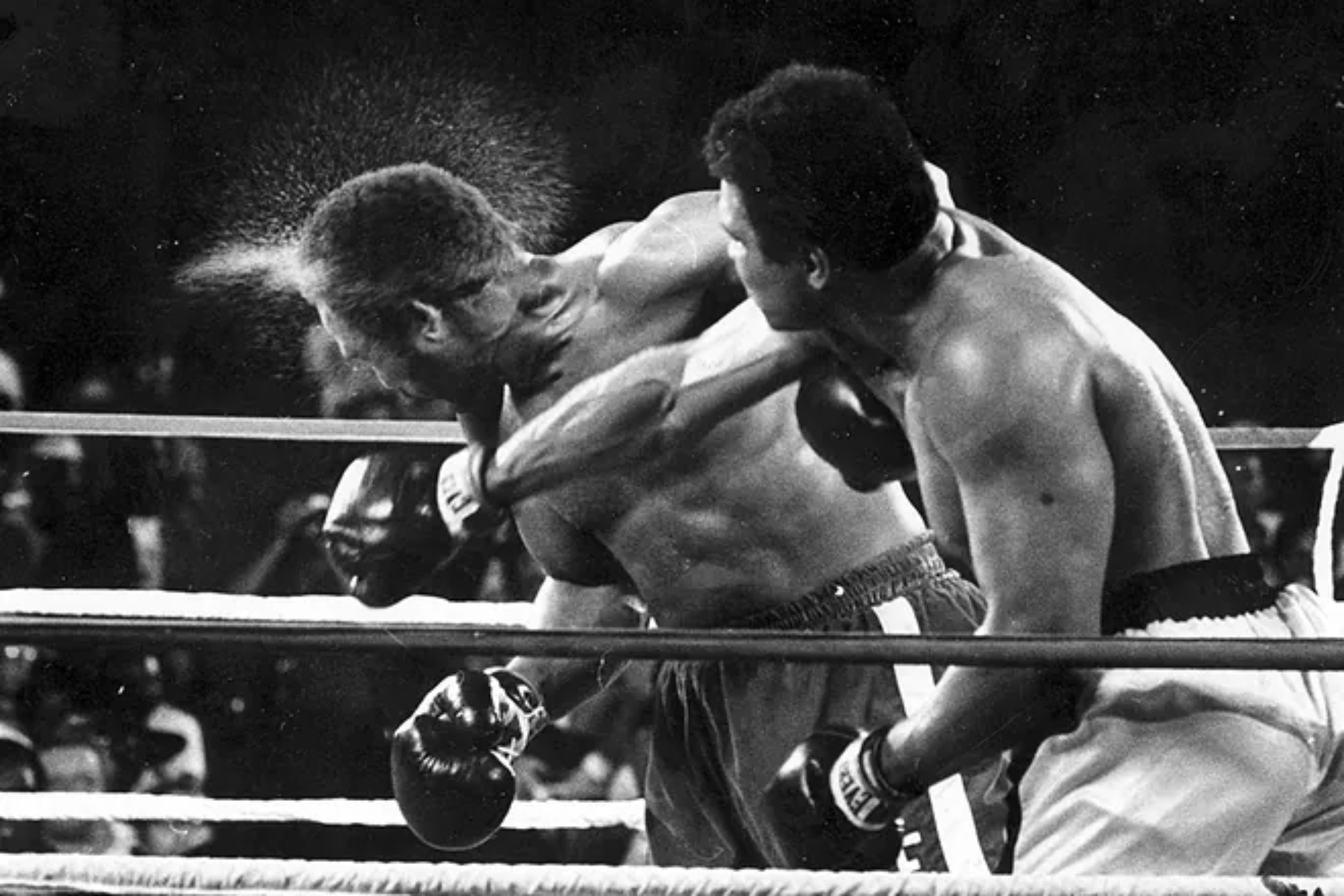 George Foremans memories of the Rumble in the Jungle, the fight that changed boxing