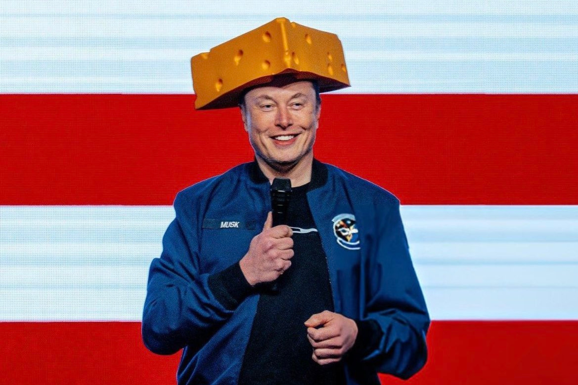 Brett Favre Reacts to Elon Musks Packers Moment: Get Him a Pigskin