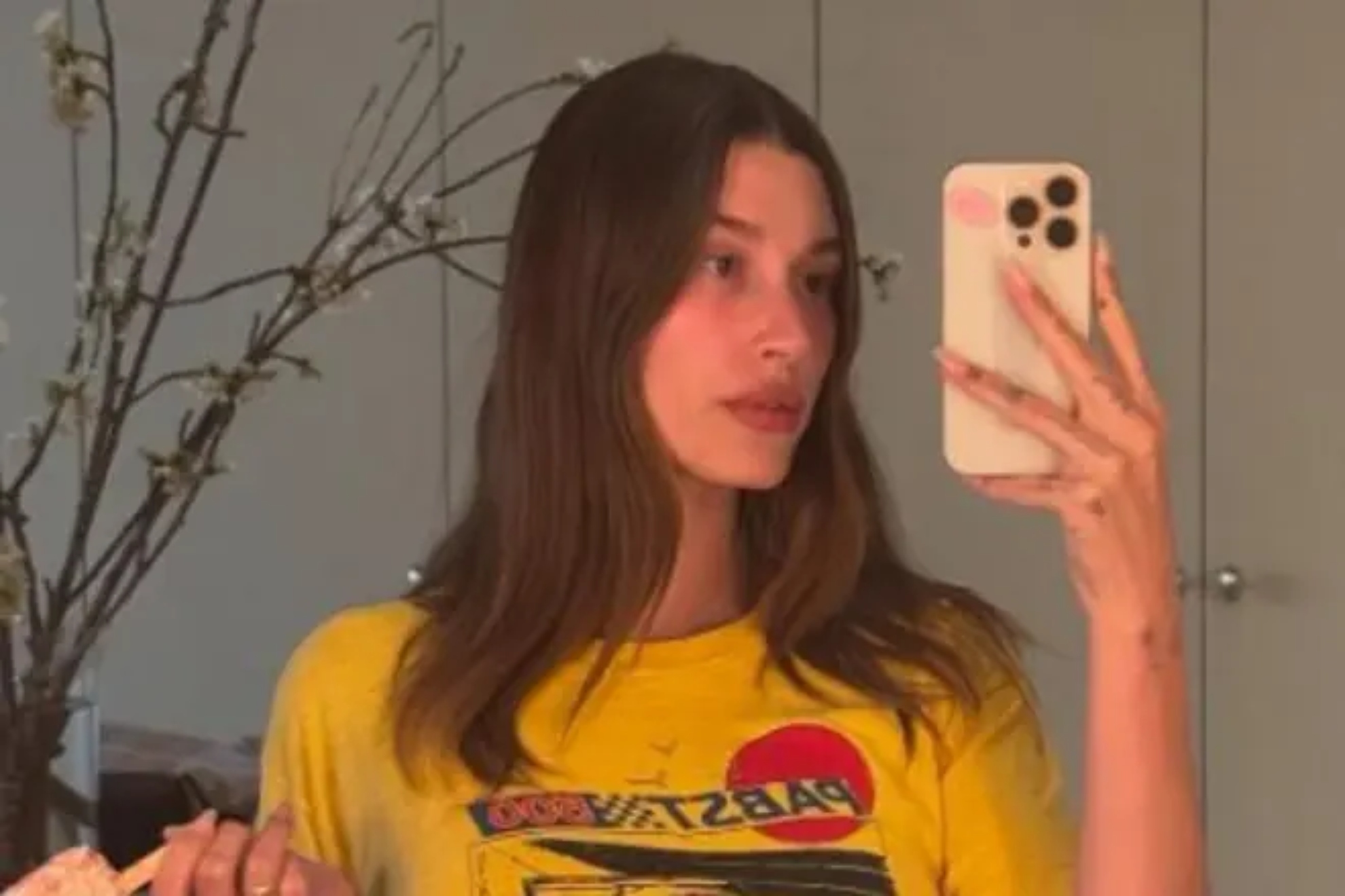 Concern for Hailey Biebers health problems amid controversy over Justins Coachella images