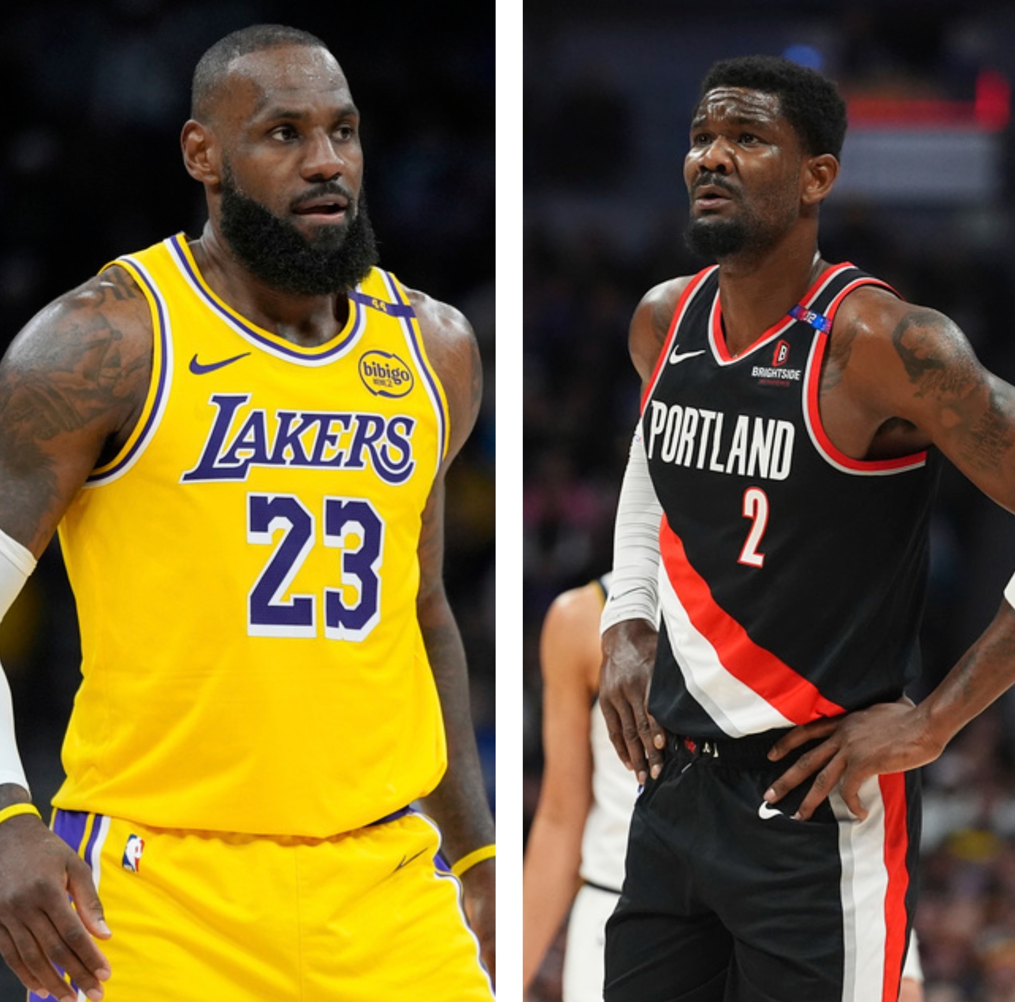 LeBron James and DeAndre Ayton