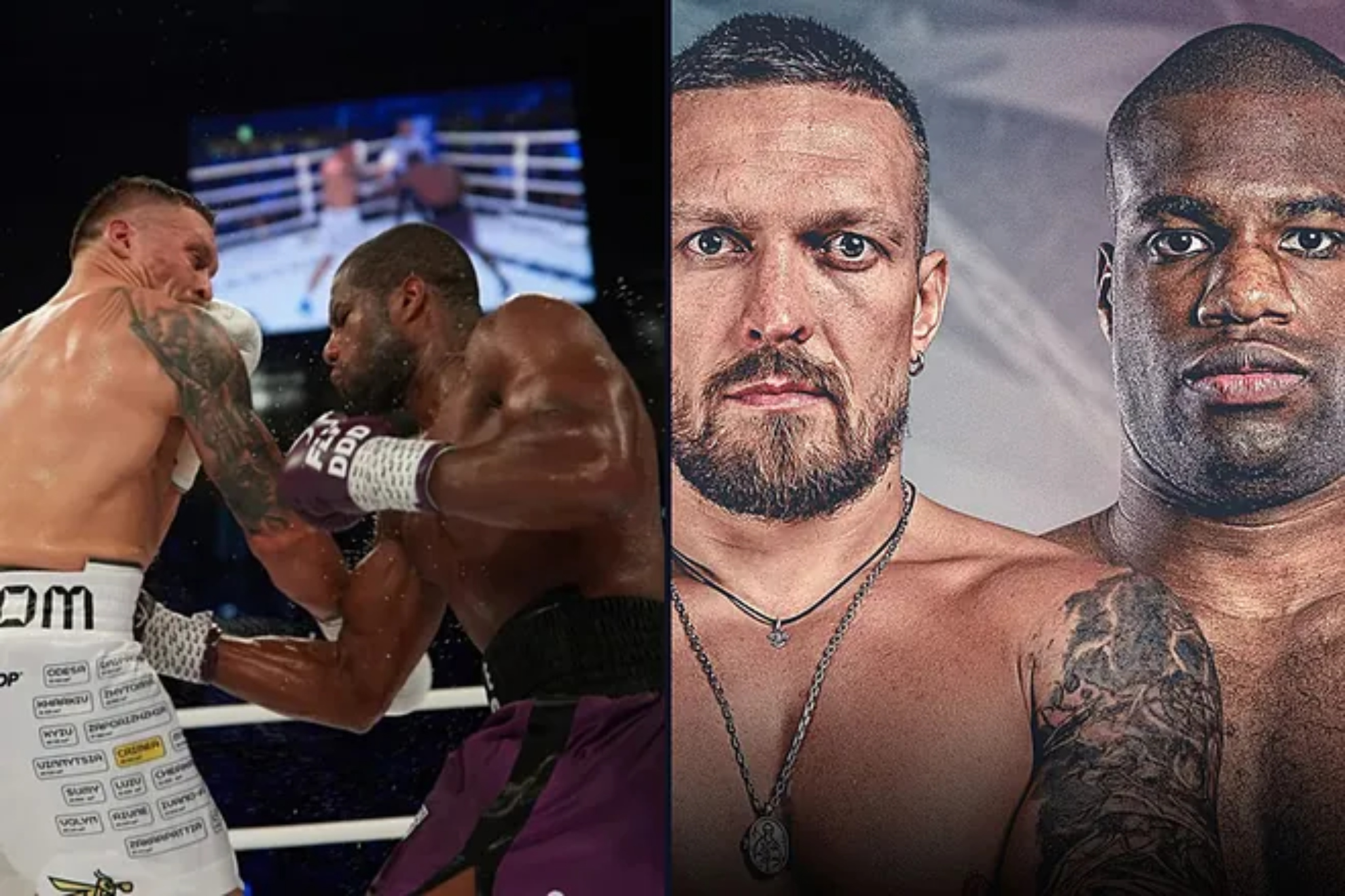 Oleksandr Usyk vs Daniel Dubois records: Wins, losses, height, weight and everything about the boxers