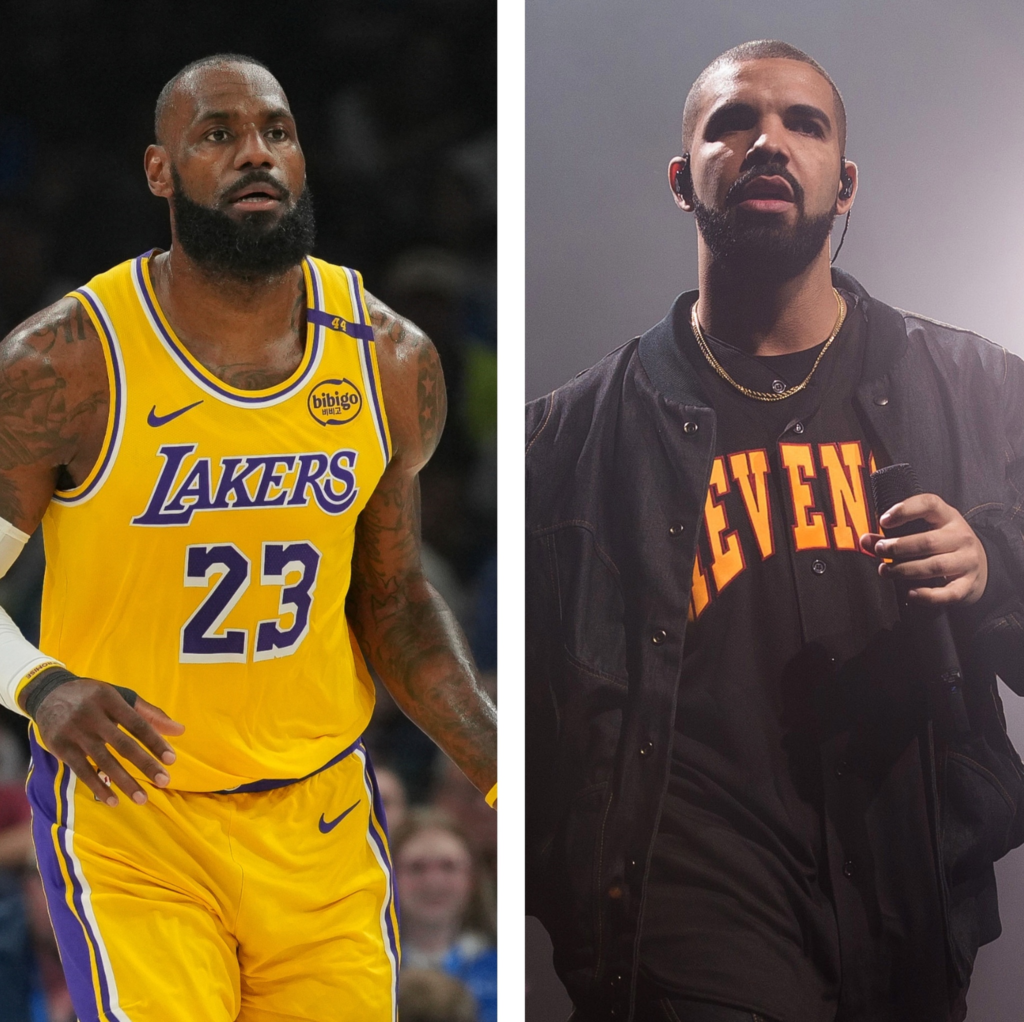 LeBron James and Drake