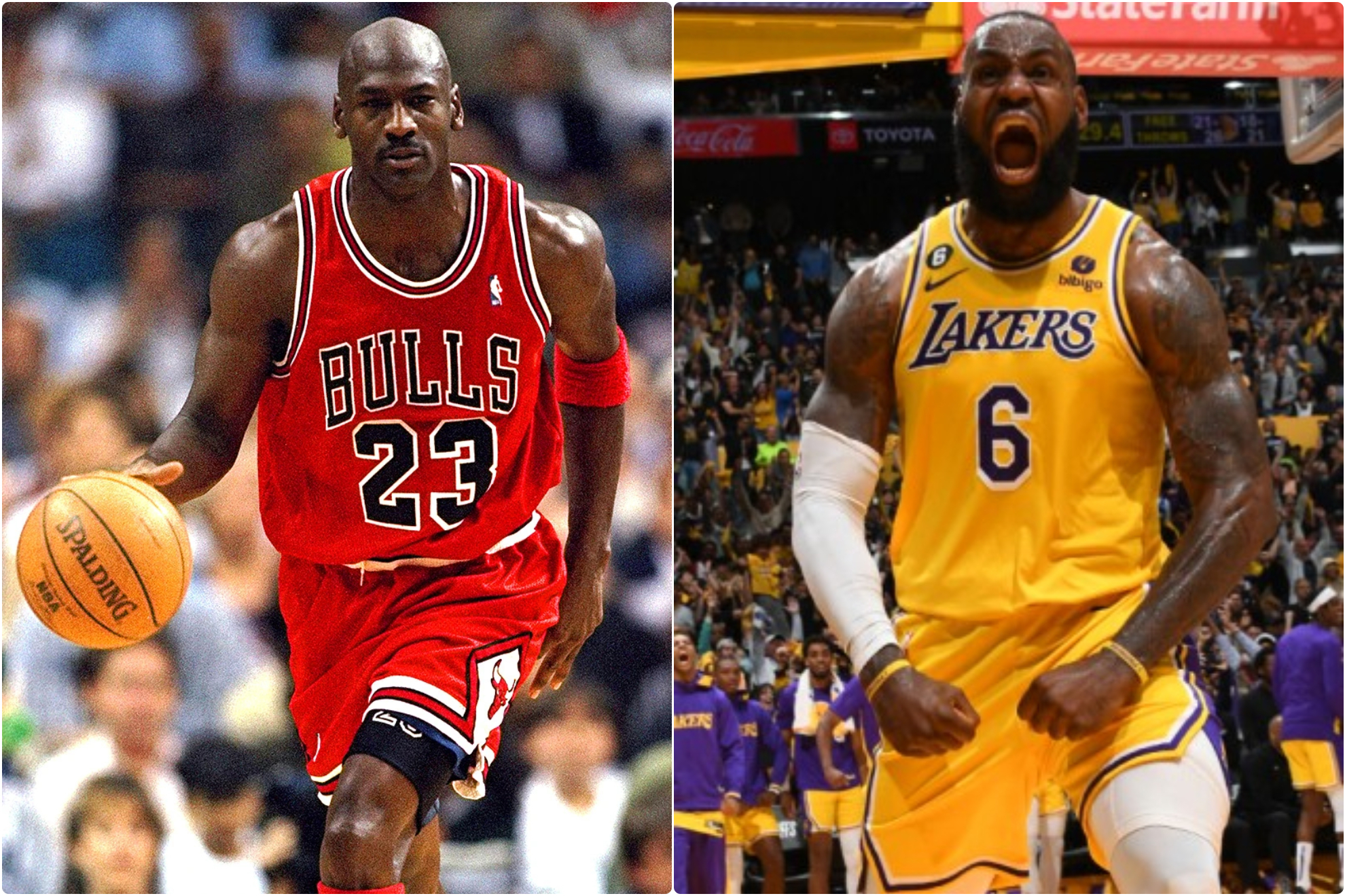 Michael Jordan and LeBron James