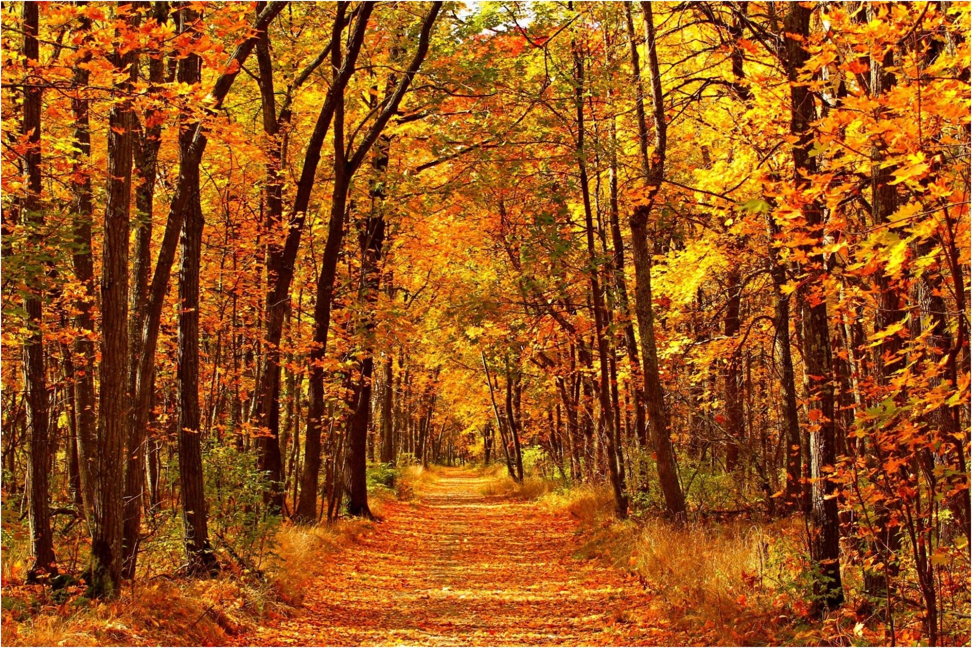 What time is the Autumn Equinox today? Everything you need to know for the first day of fall in 2025