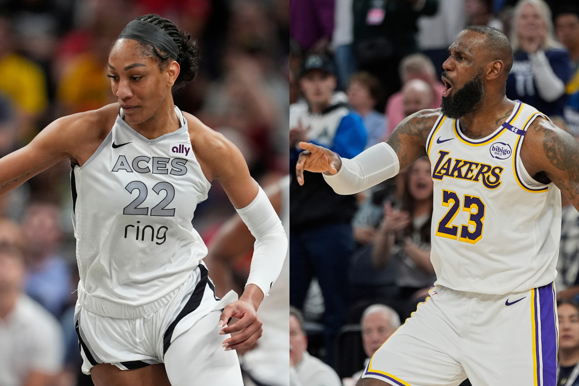 LeBron James congratulated Aja Wilson for her 4th WNBA MVP and gave her a new nickname