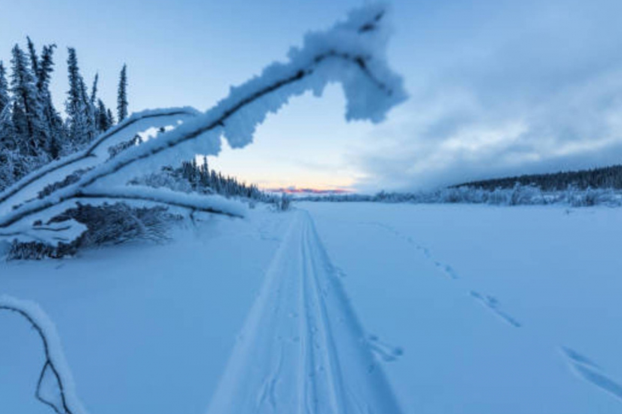 Concern about the effects of a polar vortex that is emerging at the North Pole and will influence temperatures next winter