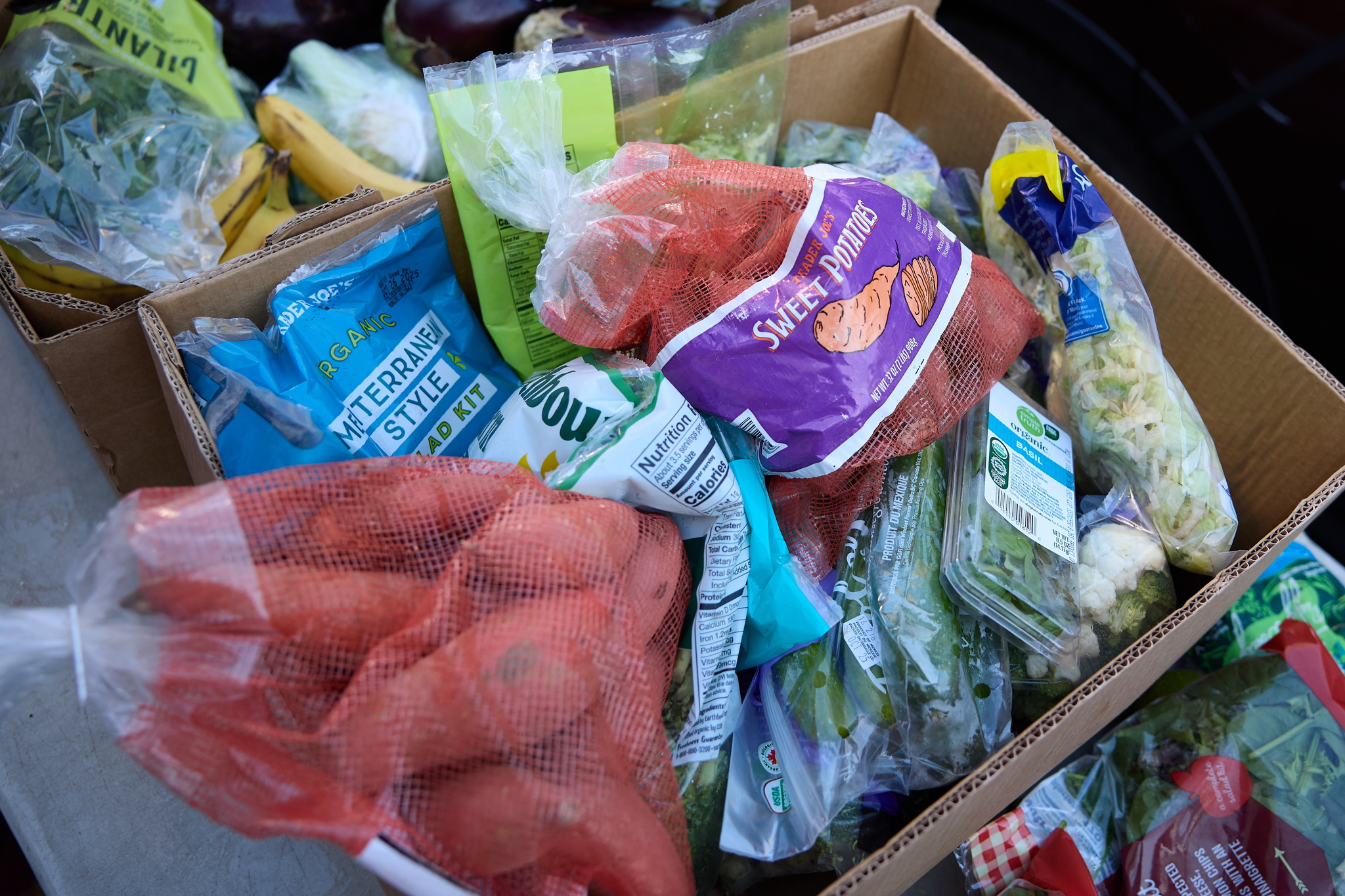 Millions will be left without access to aid such as food stamps