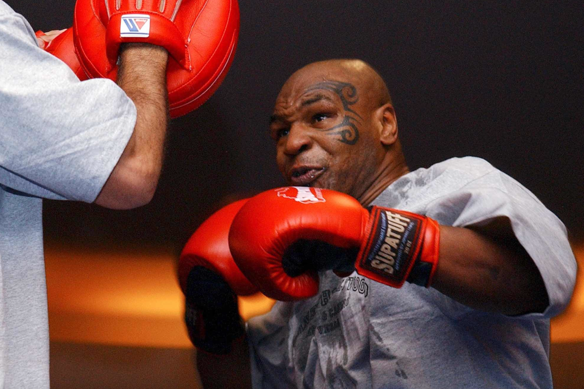 Mike Tyson is preparing for a bout with Floyd Mayweather and wants a rematch against Jake Paul