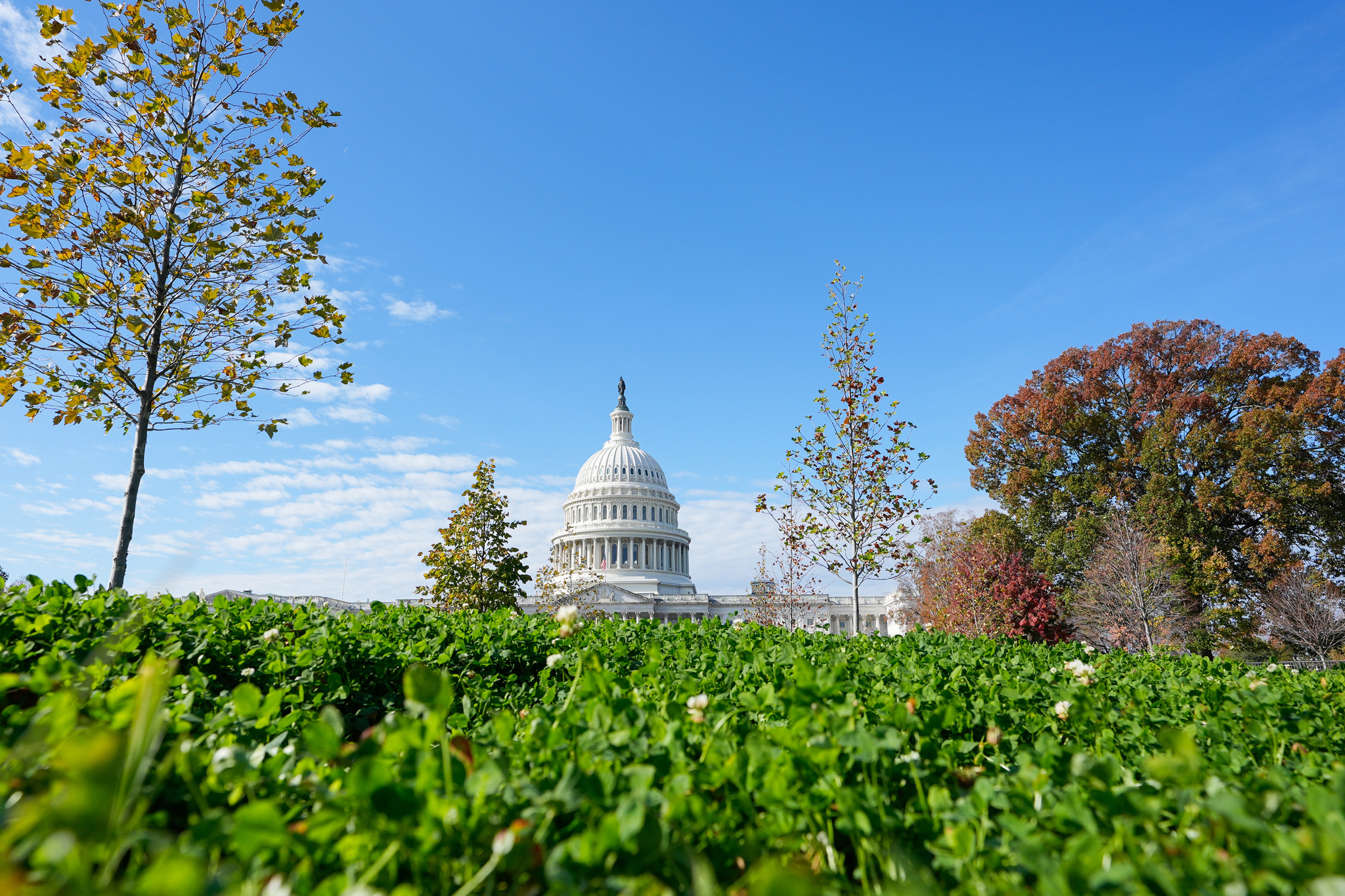 Government Shutdown News - Latest Government Shutdown News & Updates
