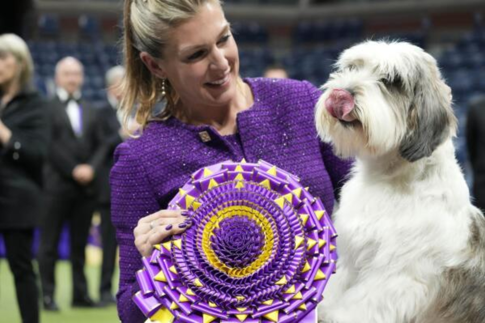 National Dog Show