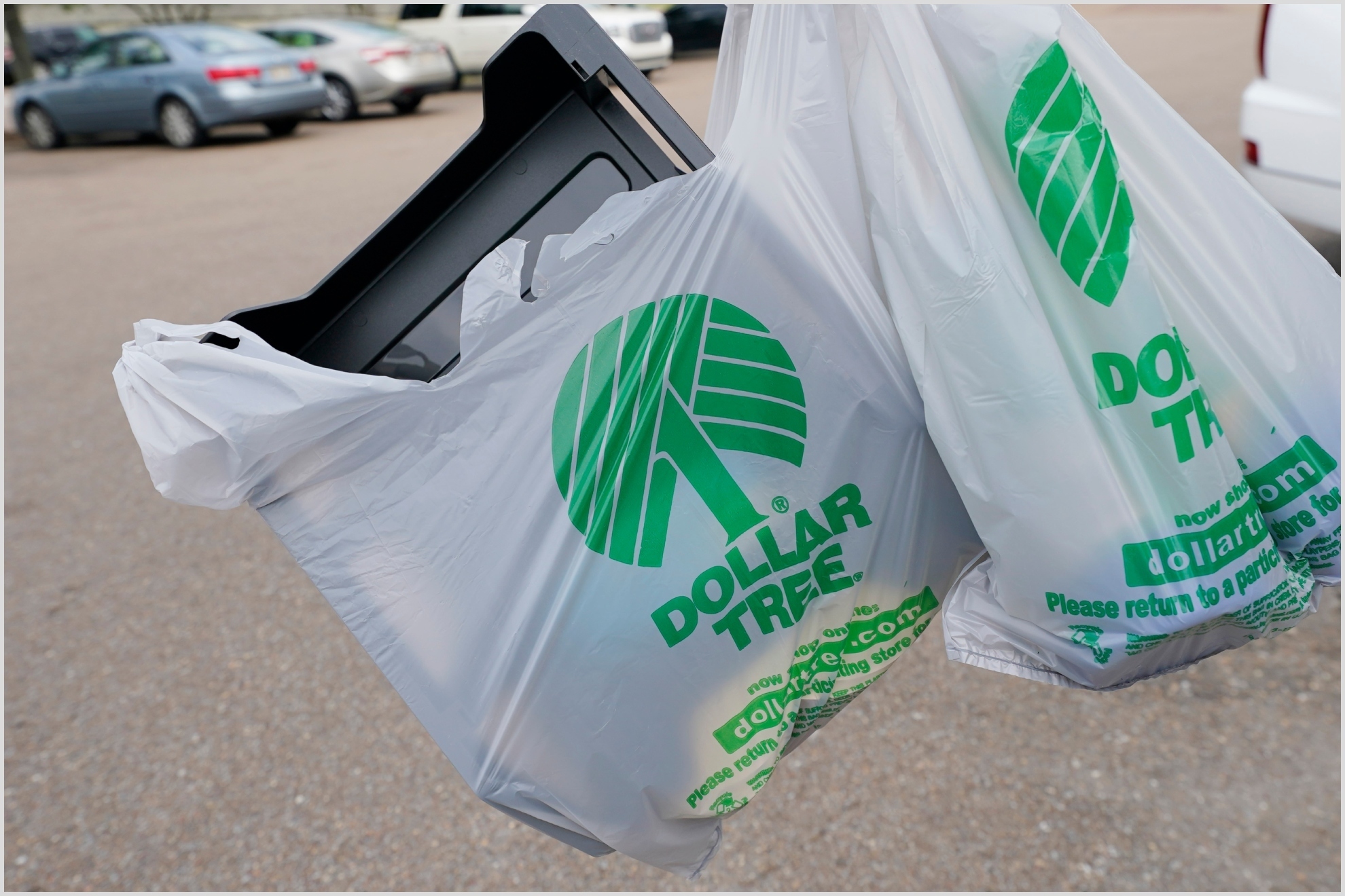 Dollar Tree Black Friday Hours