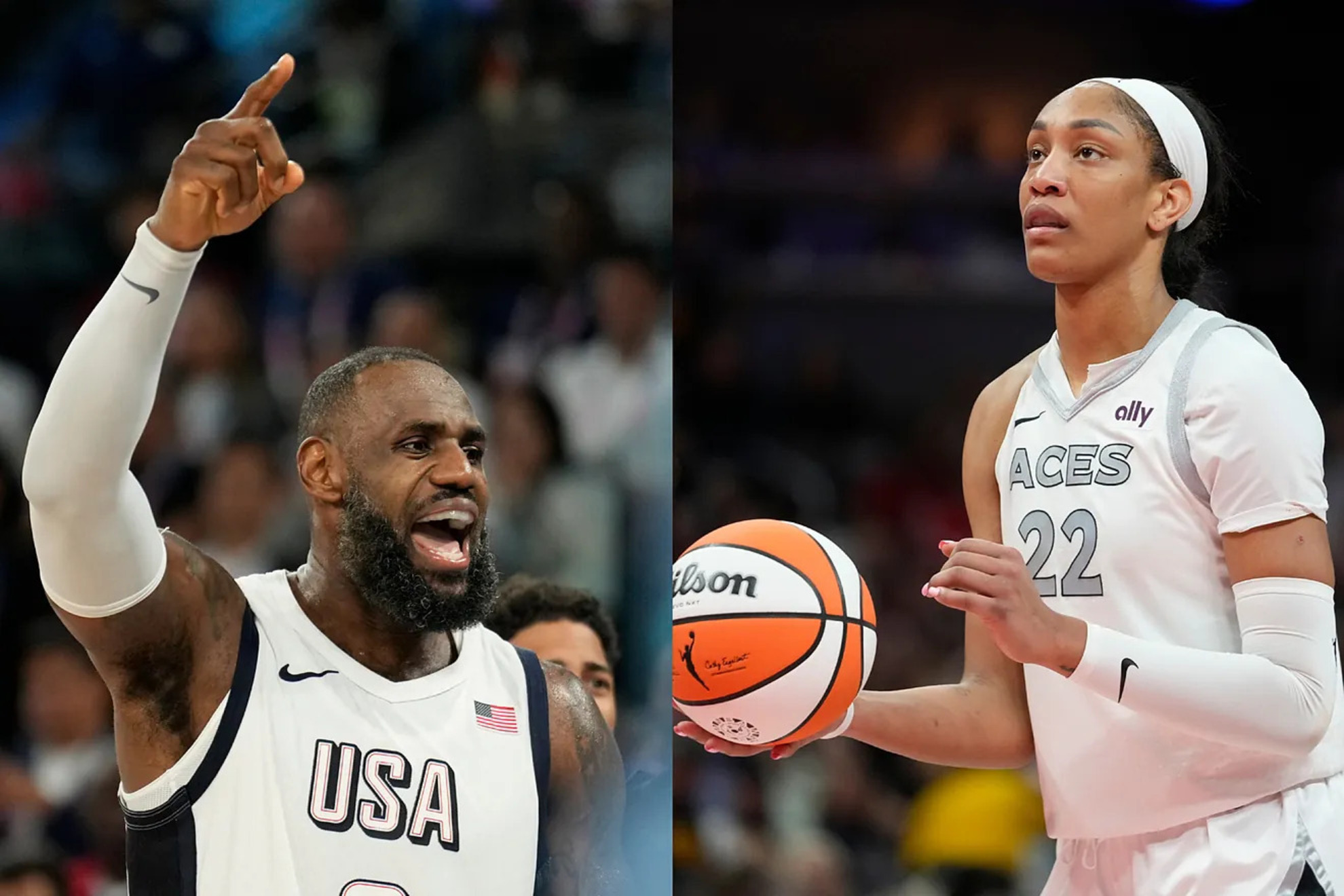 LeBron James and Aja Wilson