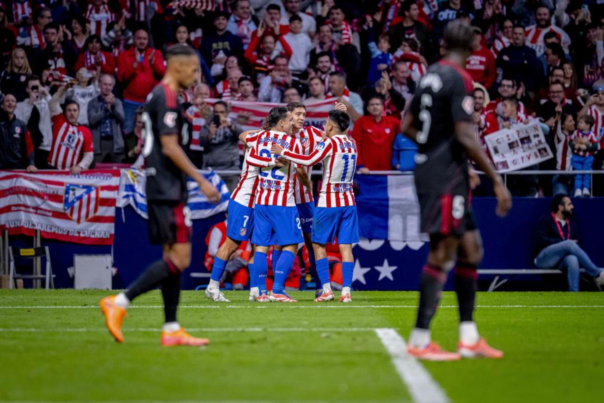 Almada y Raspadori celebran un gol.
