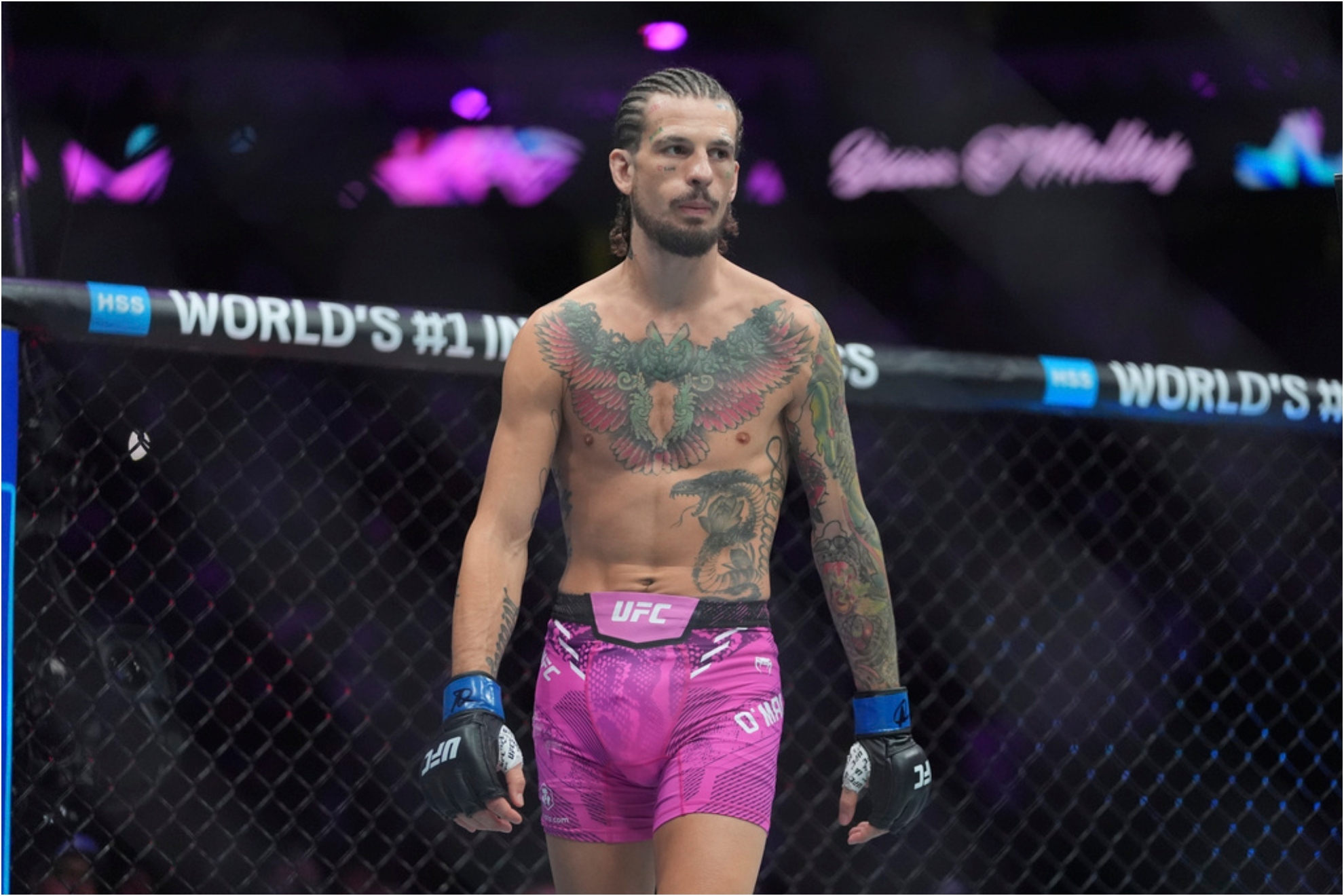 Sean OMalley before a bantamweight title bout against Georgias Merab Dvalishvili.