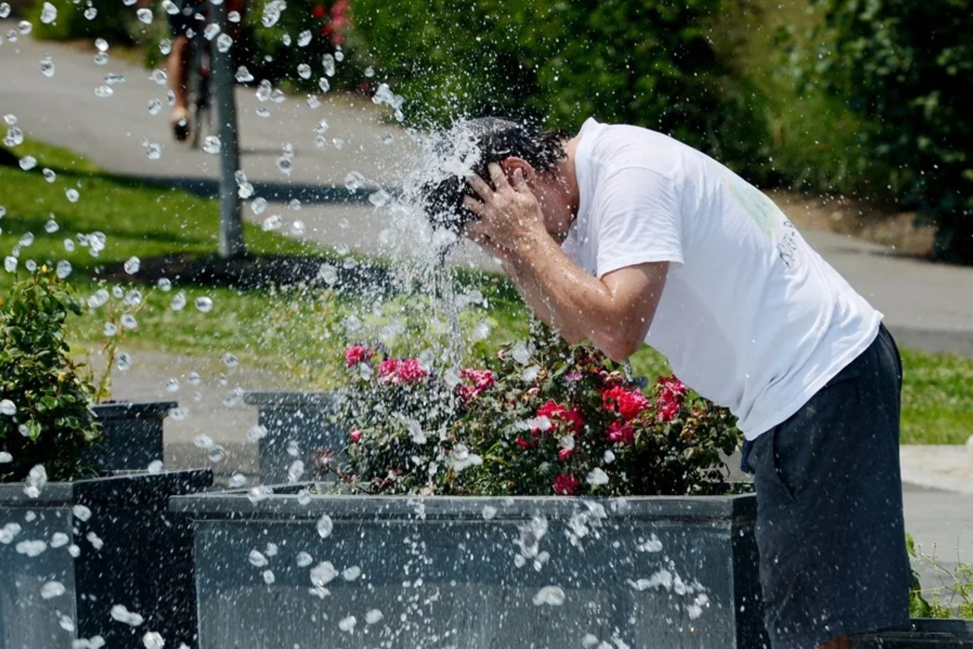 Picazo incluye un elemento clave en la ola de calor: "No olvidéis que la humedad también es parte de lo que siente el cuerpo humano"