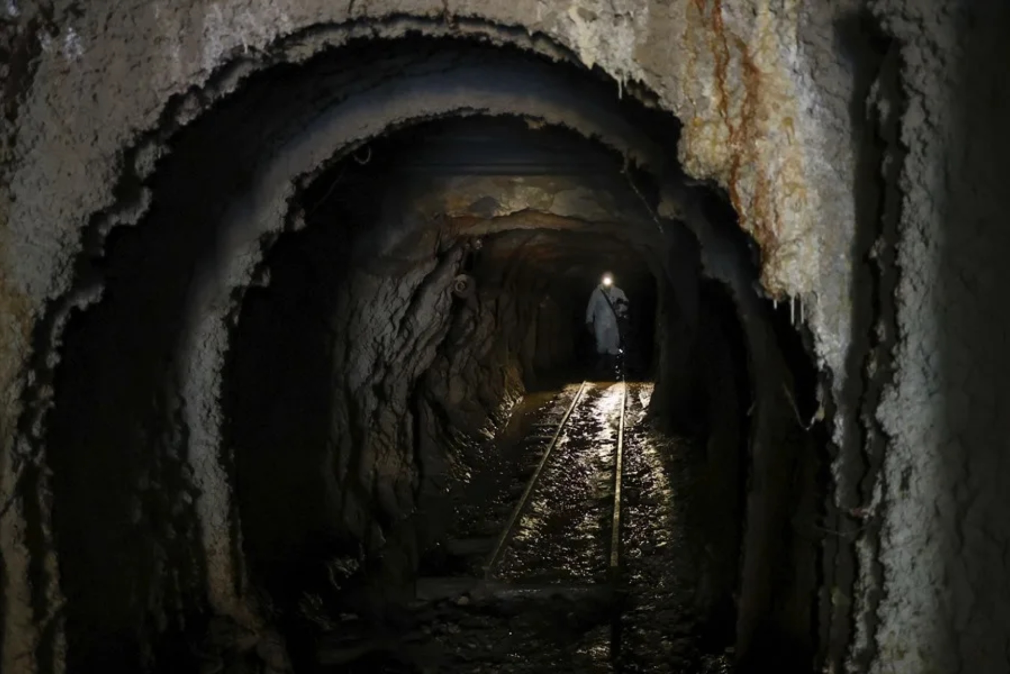 Hace cerca de 100 años en Australia, unos espeleólogos siguieron el rastro de unos huesos y descubrieron la Cueva del Mamut: un mundo perdido que llegó a ser habitado por gigantes