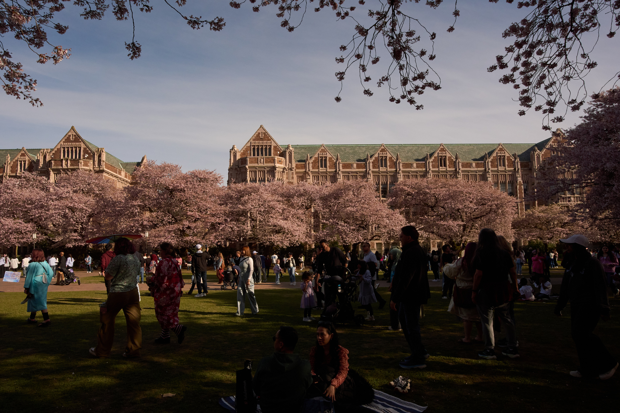 University of Washington campus.