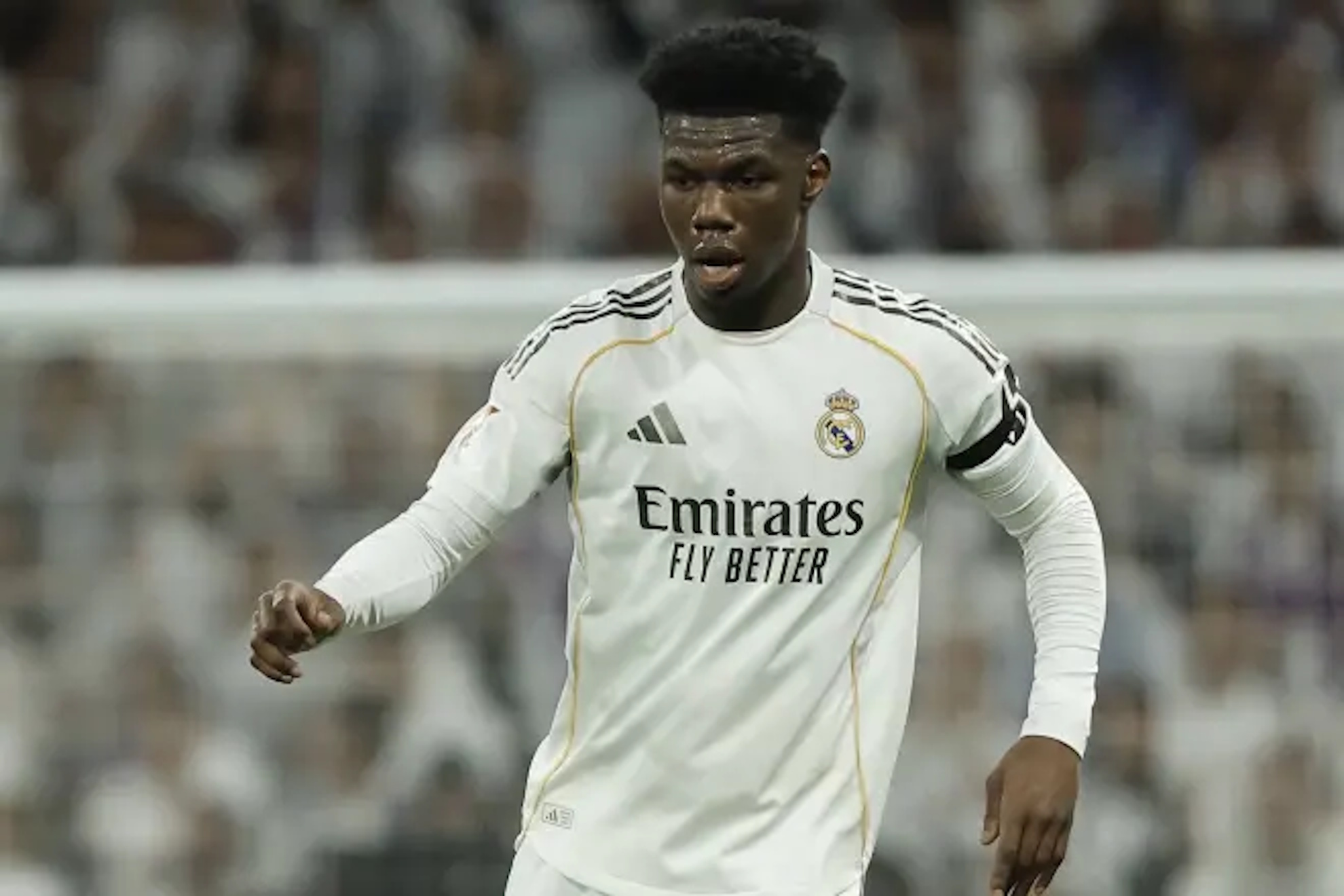 Manchester United dream of Tchouameni in a carom with Rodri or Enzo Fernandez