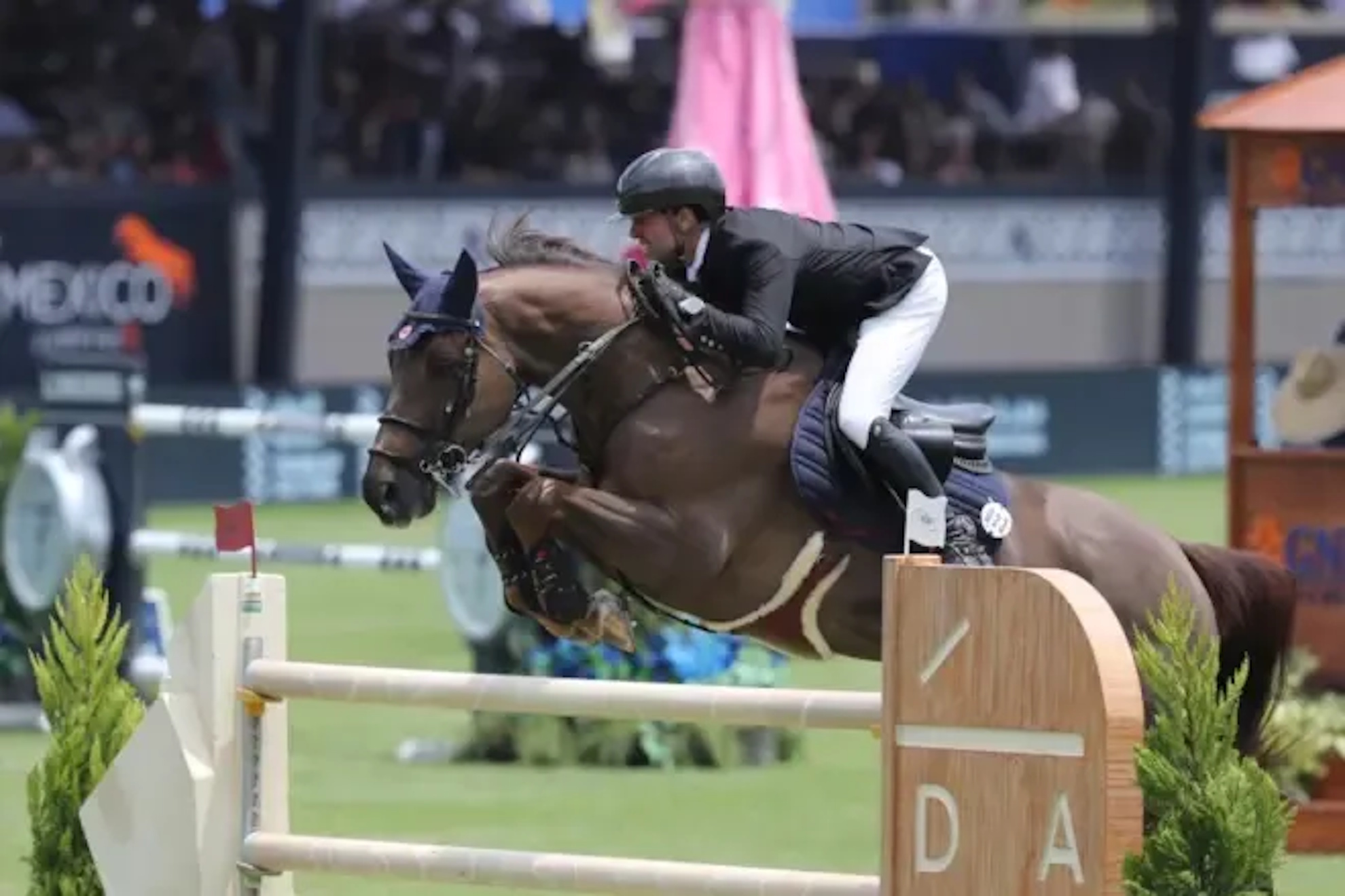 Equestrian scandal: French Olympian sued for allegedly running a secret side hustle involving a dead horses semen