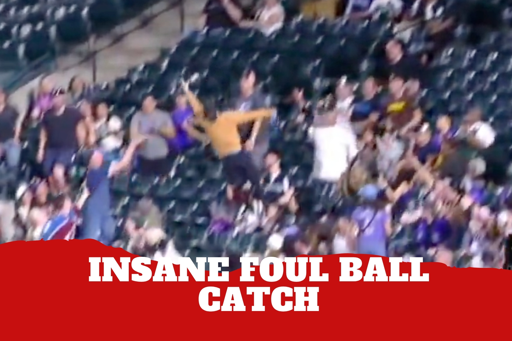 MLB fan risks it all for insane foul ball catch