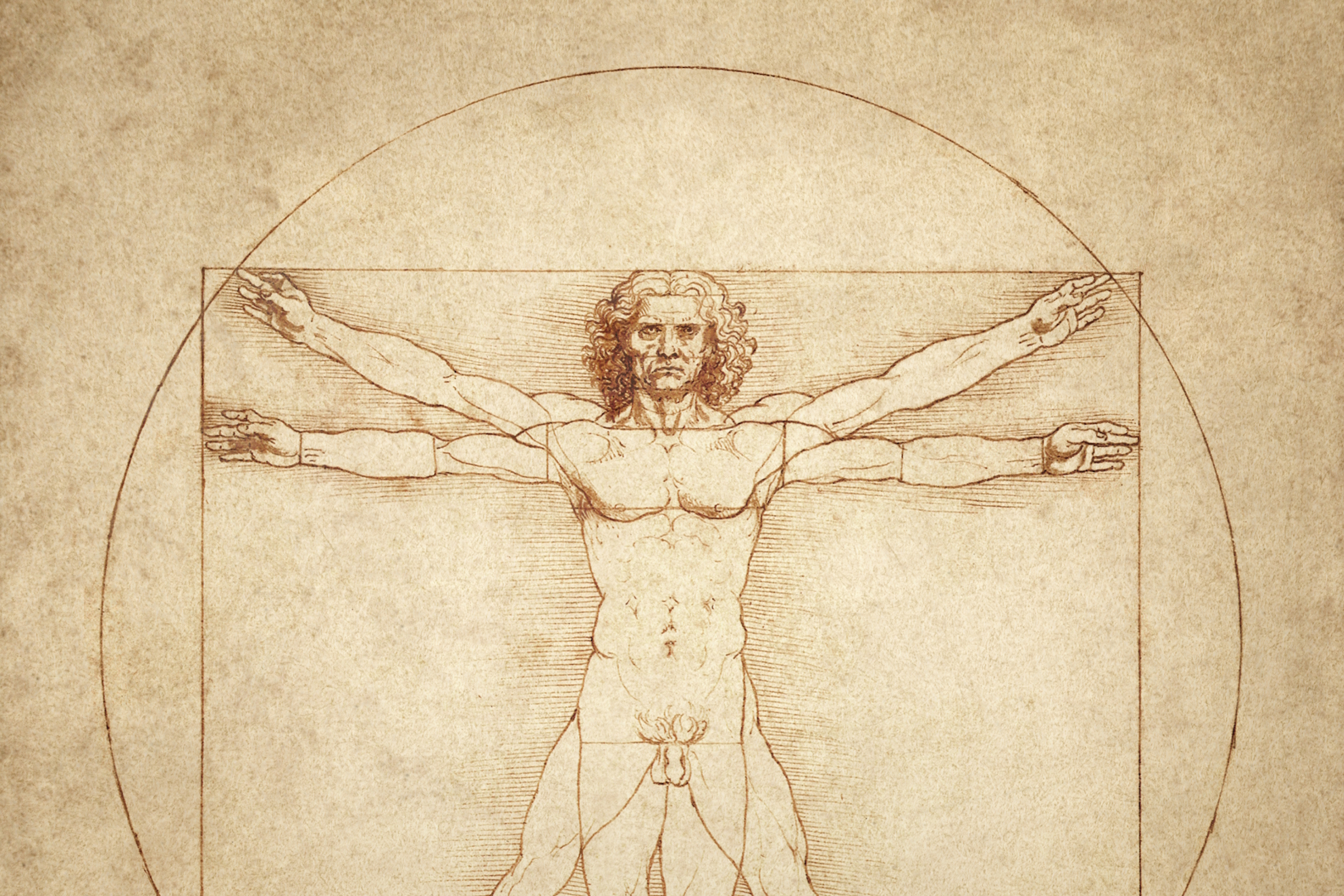 La ciencia, cerca de descifrar el ADN de Leonardo da Vinci: investigan su tumba familiar para estudiar su genialidad
