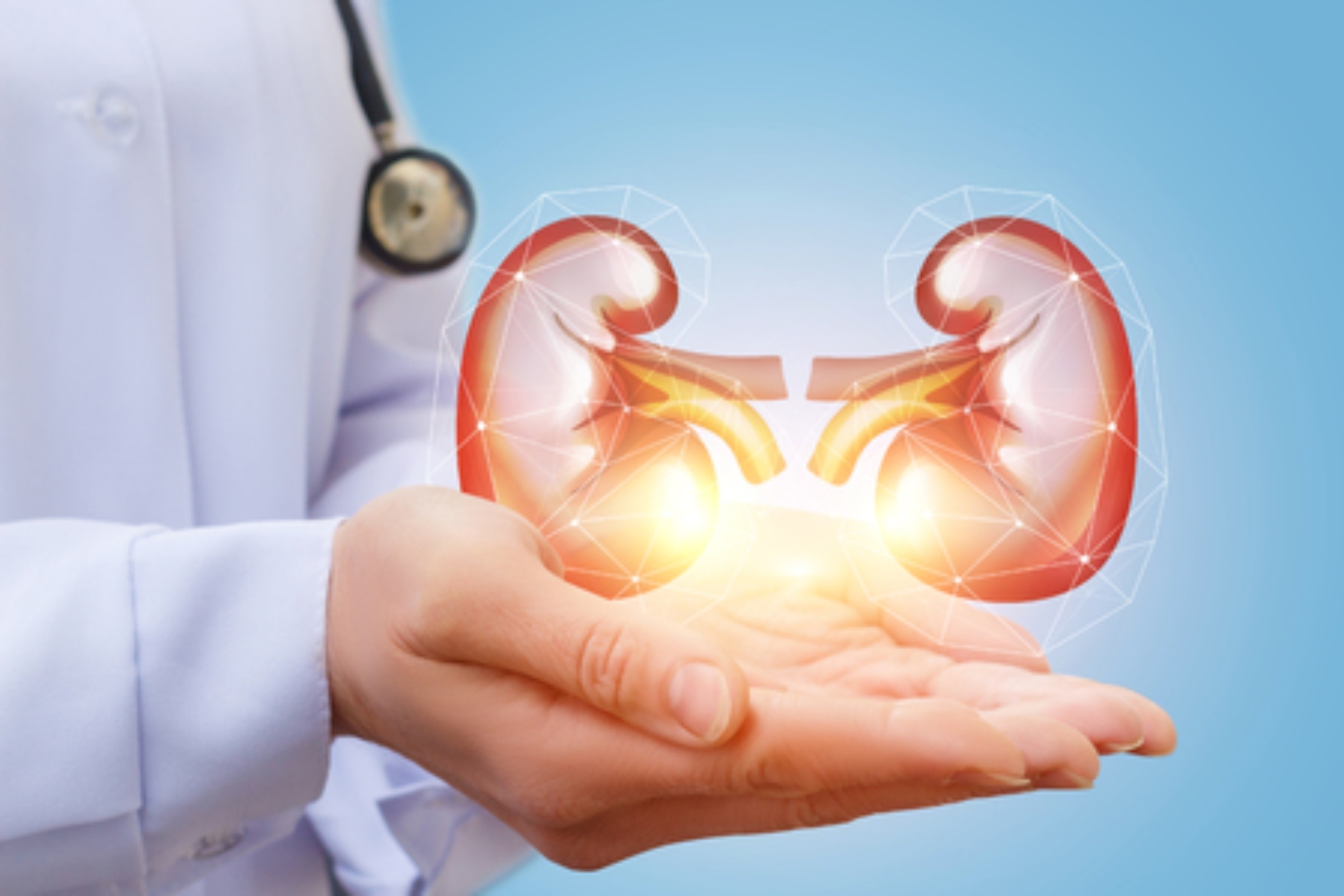 Los expertos encuentran de manera inesperada un medicamento que podría acabar con la afección renal crónica