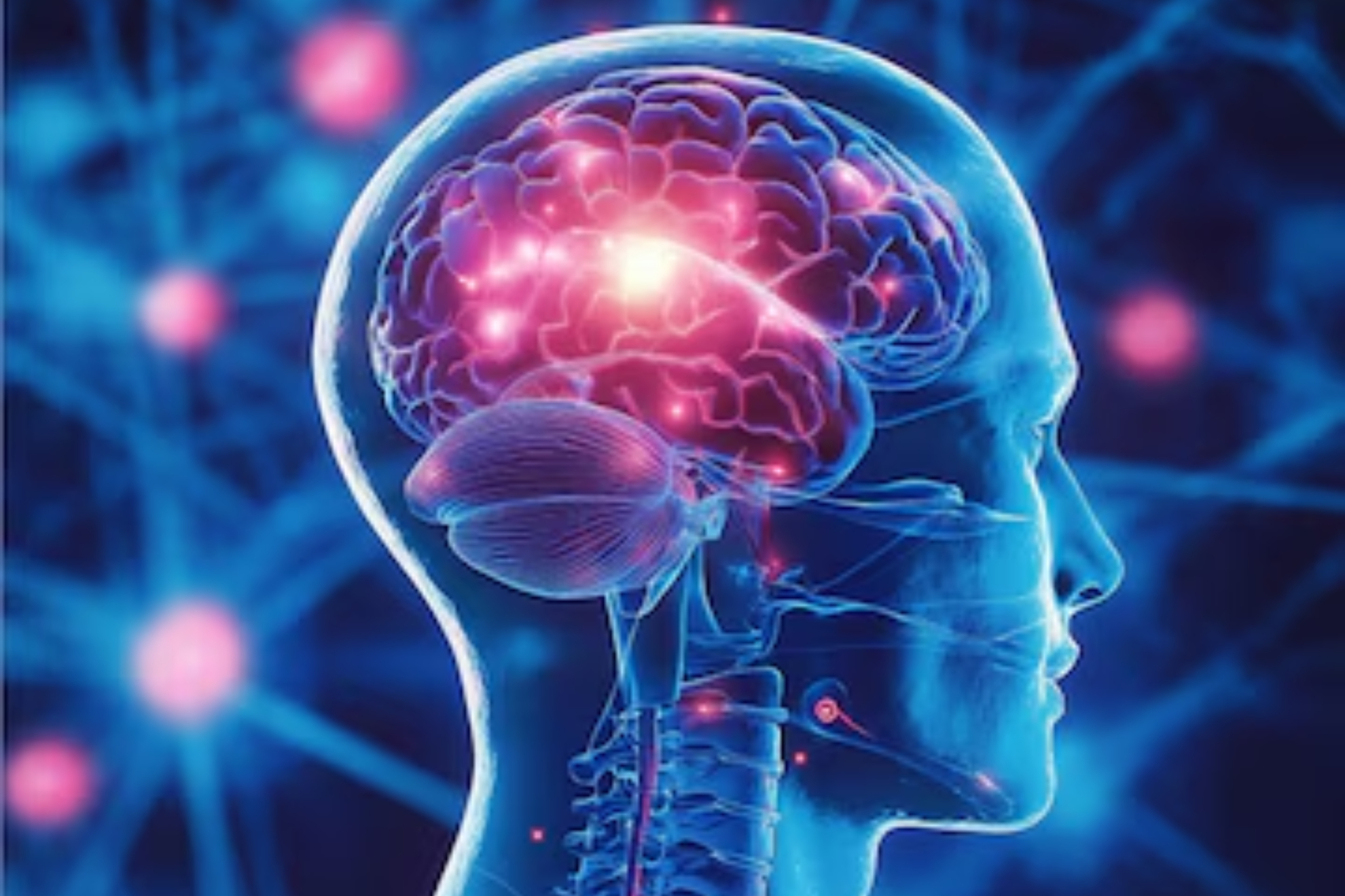 El sorprendente efecto de un ictus en el cerebro: podría tener cambios similares al rejuvenecimiento