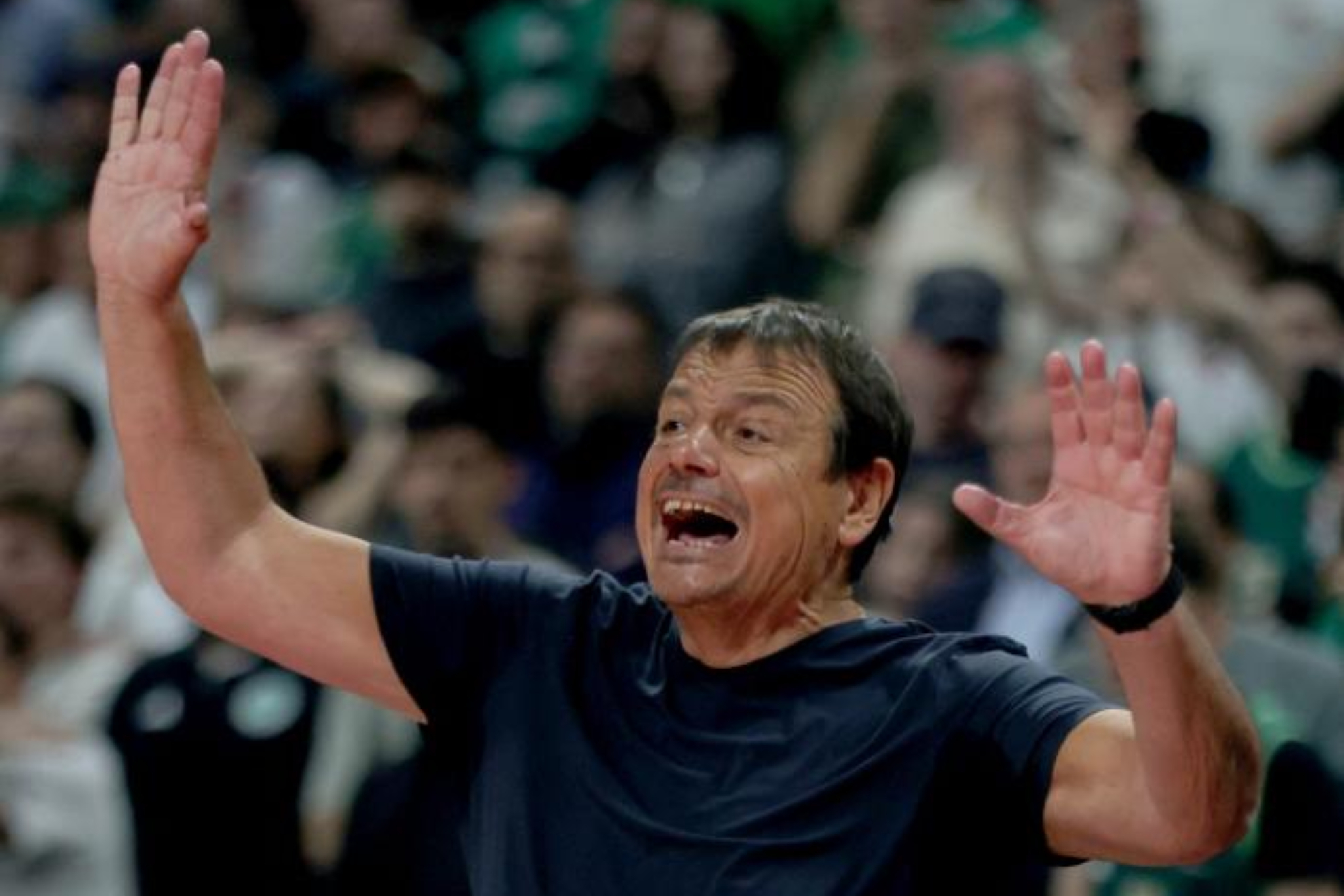 Ataman: "Si se mantiene el criterio arbitral en la Final Four es fácil que el Valencia la gane"