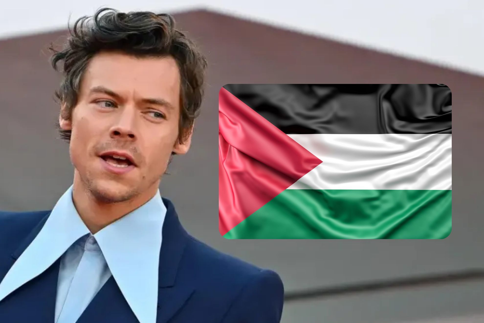 La sorprendente reacción de Harry Styles al escuchar "¡Viva Palestina!" en su último concierto en Países Bajos