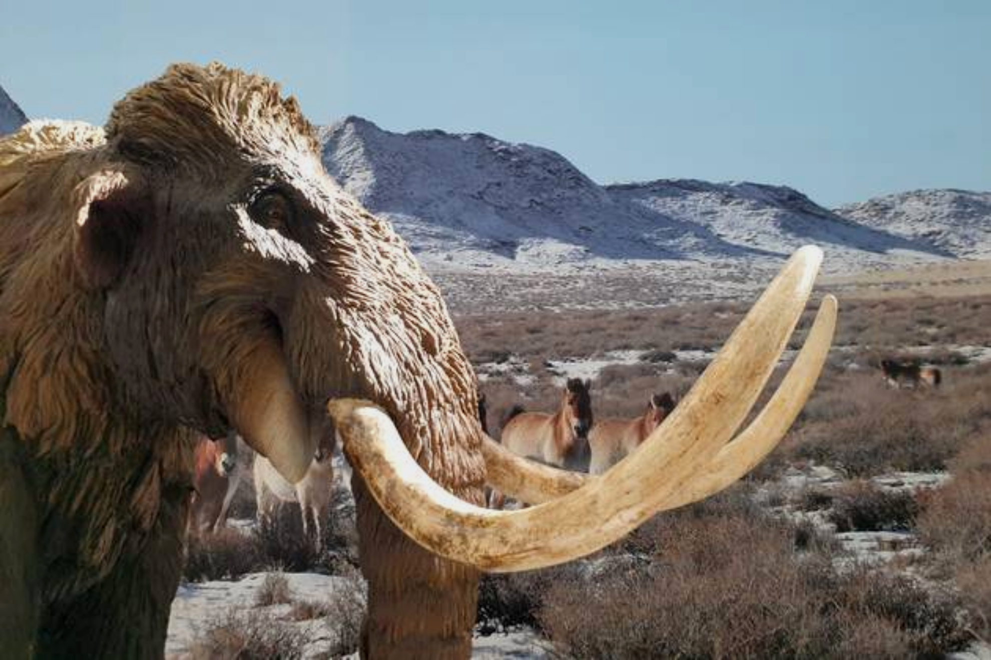 La empresa que prometió recuperar al mamut da un paso histórico: nacen las primeras aves de huevos artificiales