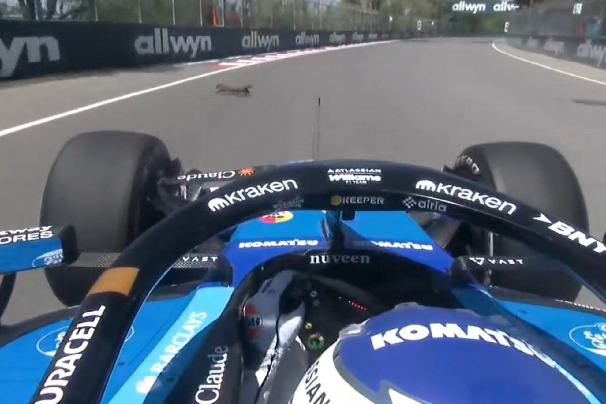 Albon se estrella tras atropellar a una marmota
