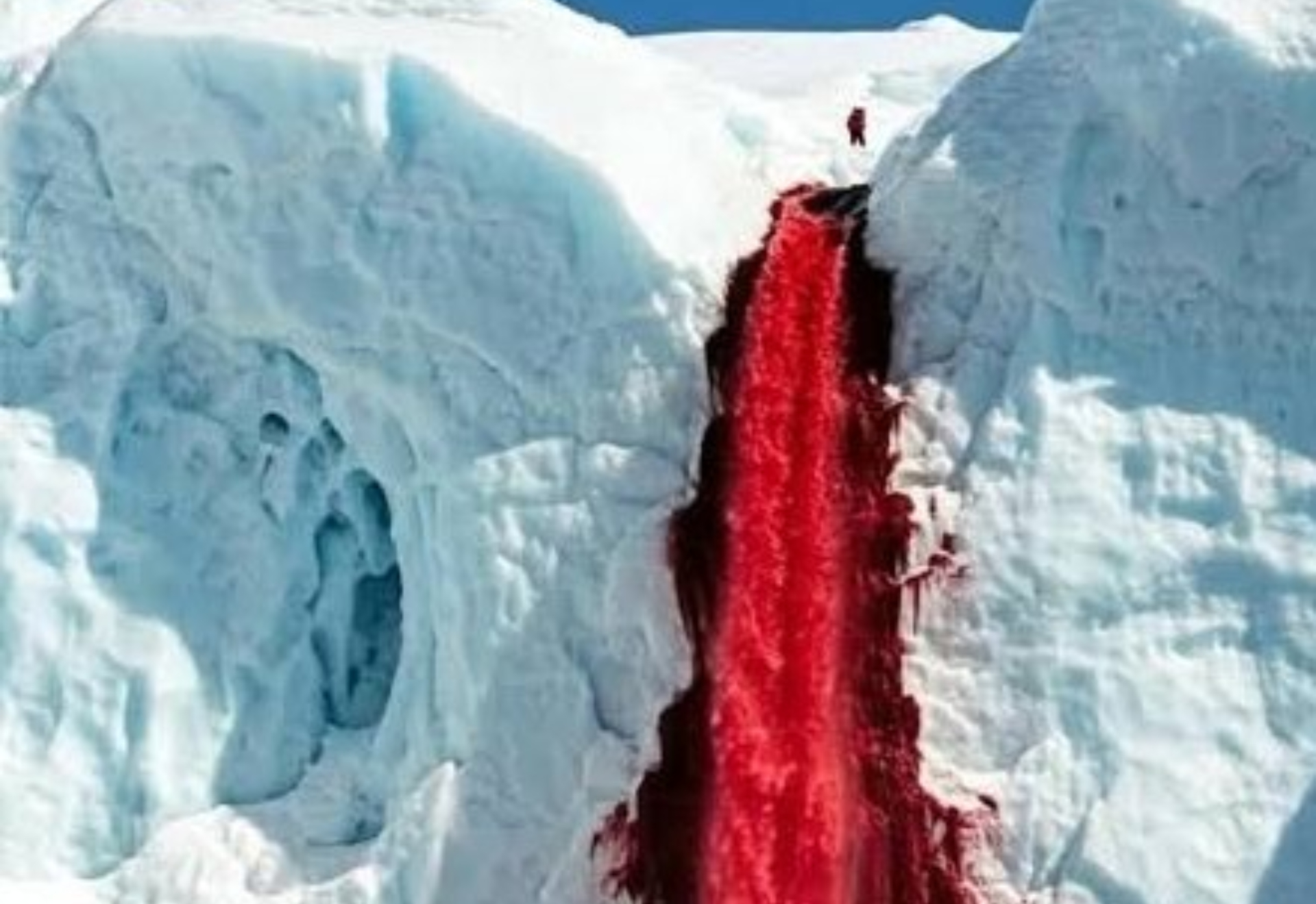 En 2018, una cámara captó cómo las cataratas de sangre comenzaron a brotar en un rincón de la Antártida: ahora los científicos creen haber resuelto el misterio que hay detrás
