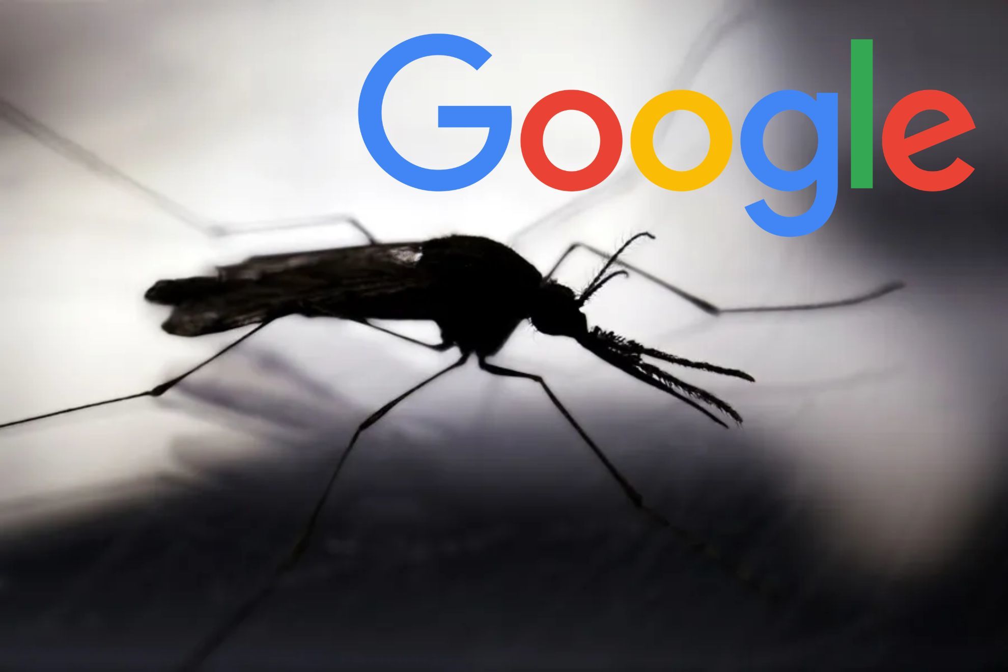Google liberará millones de mosquitos modificados en Estados Unidos para ayudar a combatir enfermedades