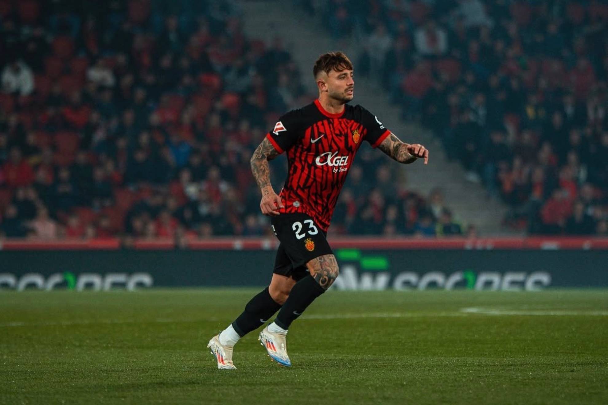 El Olympiacos pregunta por Maffeo