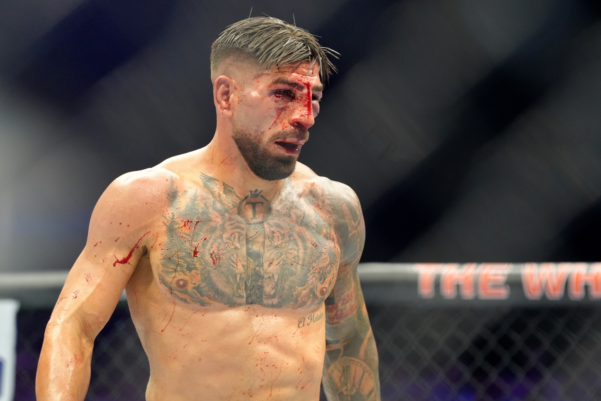 Ilia Topuria, durante el combate ante Gaethje.