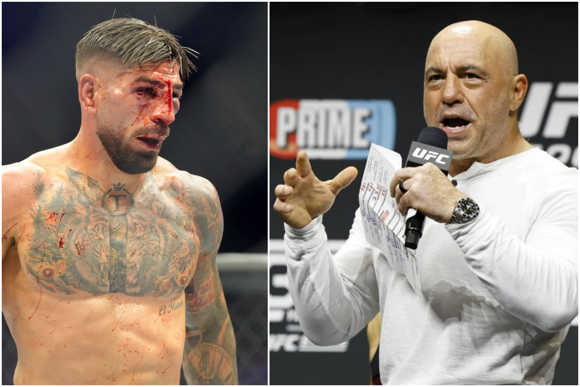 Joe Rogan rompe moldes con su opinión sobre Ilia Topuria en la UFC 250 Freedom