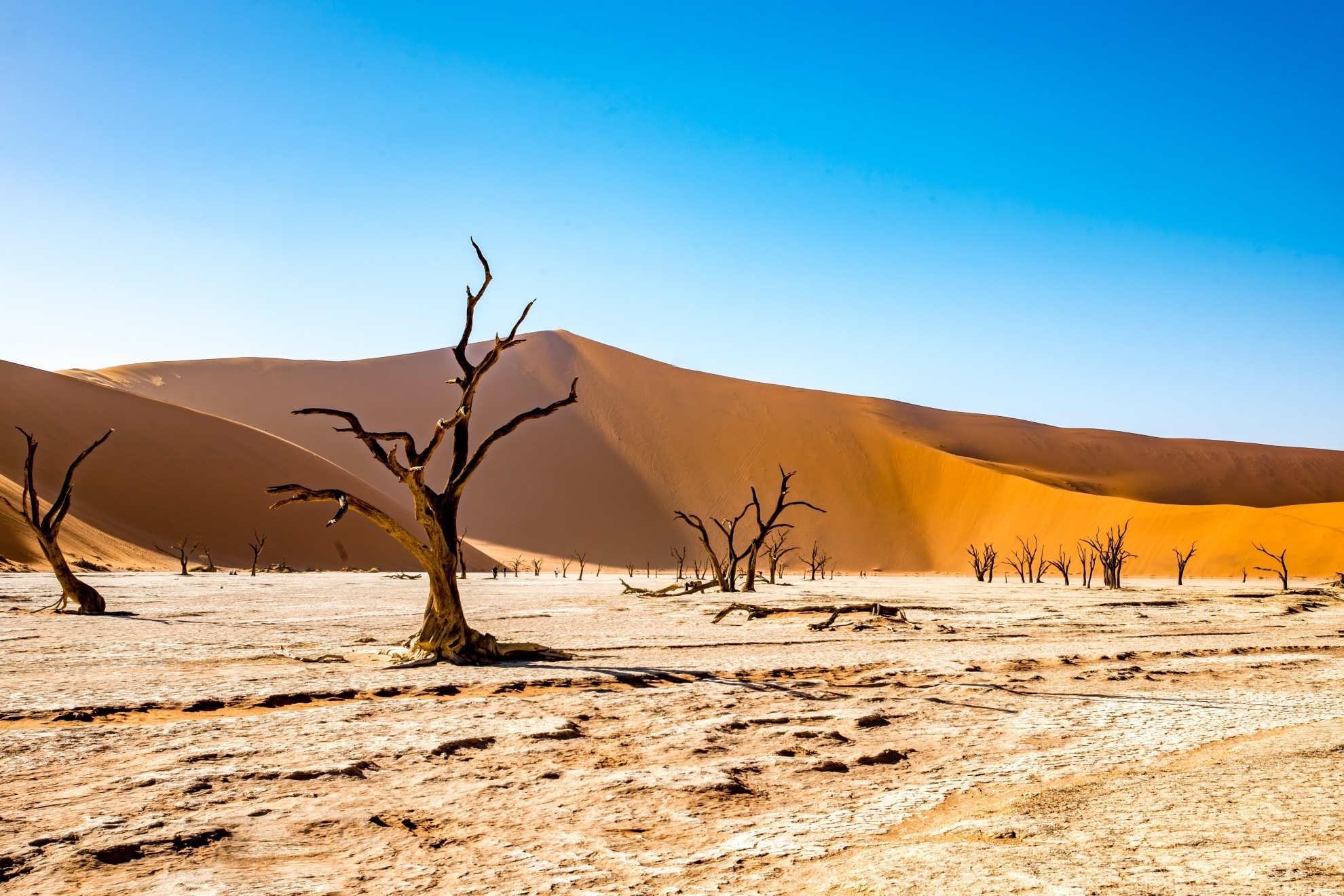 Mario Picazo detalla los efectos de El Niño en 2026 y 2027: "Temperaturas medias globales muy elevadas”
