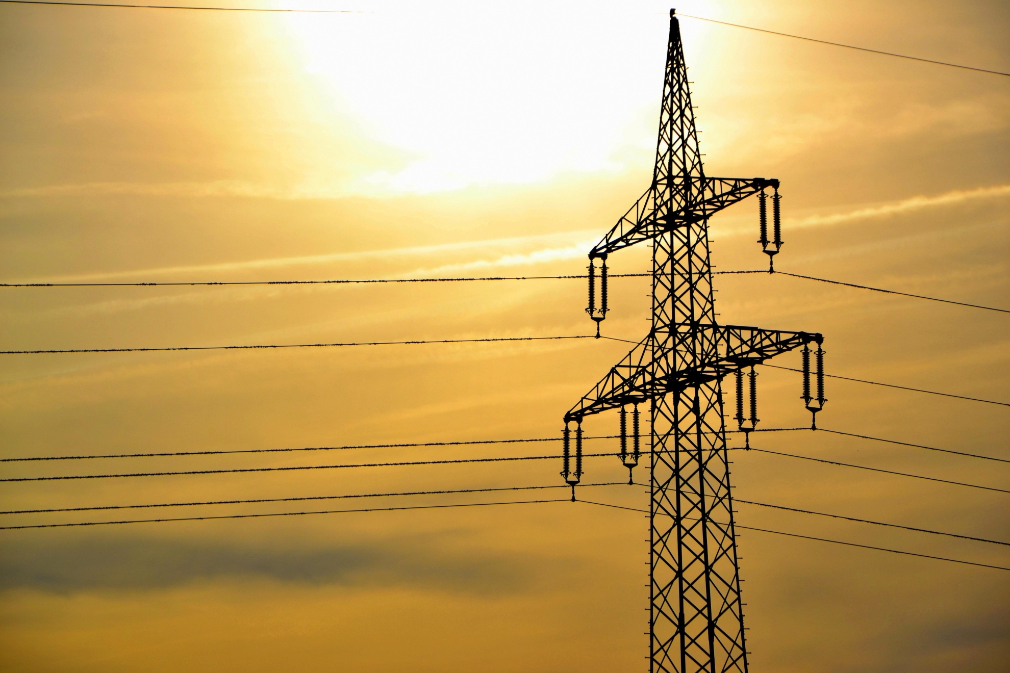 Precio de la luz por horas mañana sábado 3 de octubre: cuándo es más barata y más cara