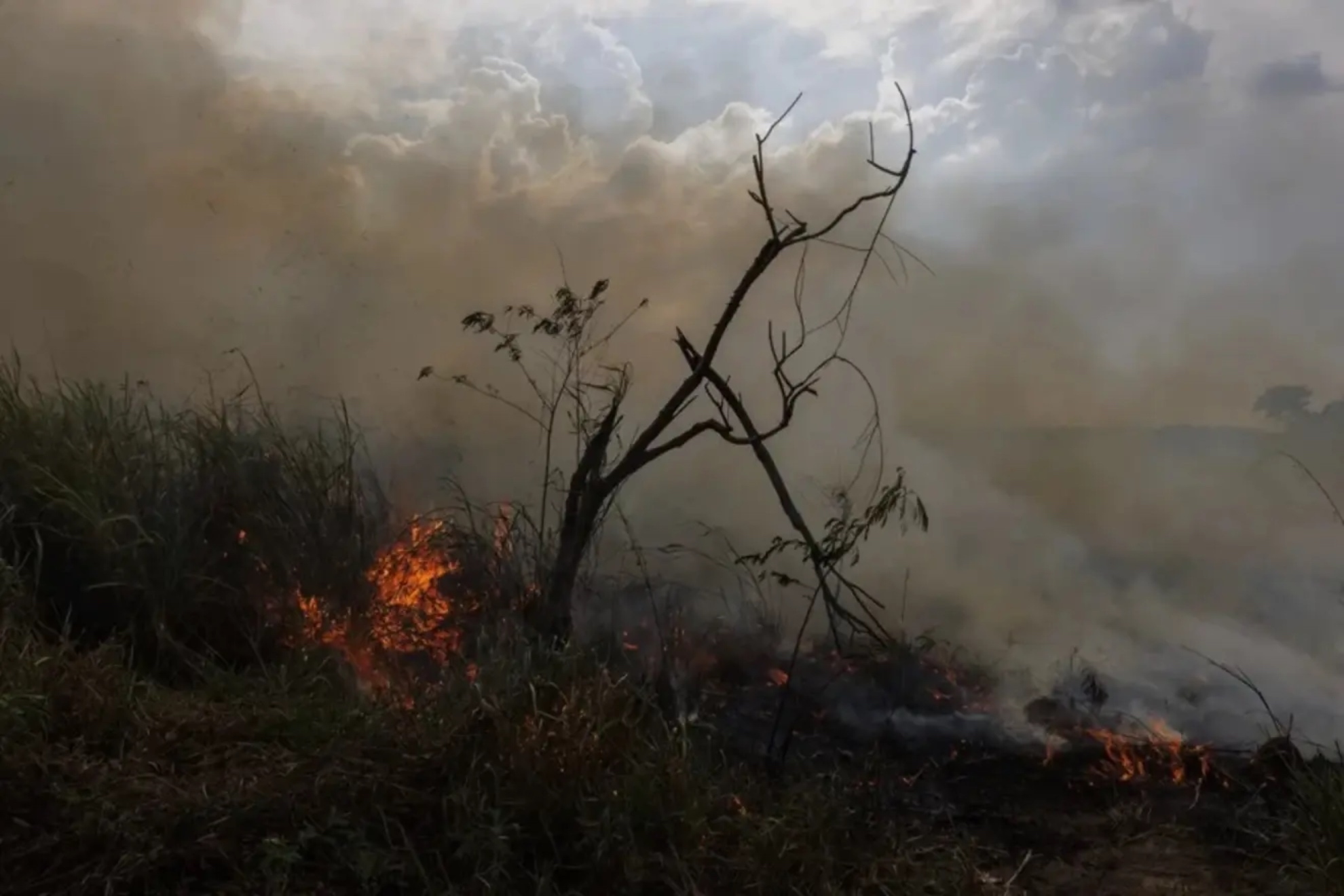 Mario Picazo desvela cuándo el viento dejará de soplar y favorecerá la extinción de los incendios: "Será la jornada más favorable"