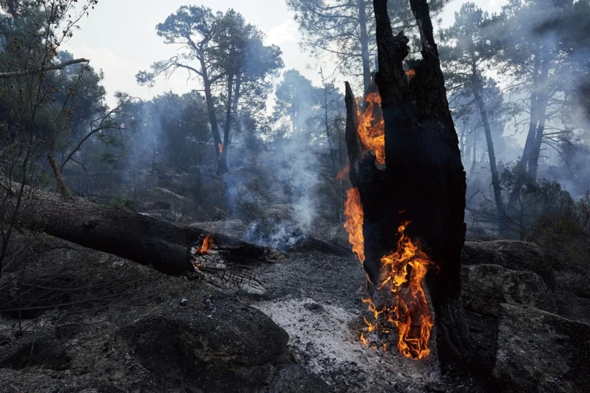 El incendio de Burgohondo ya es uno de los peores de la historia de Ávila: así se compara con los grandes fuegos de las últimas décadas