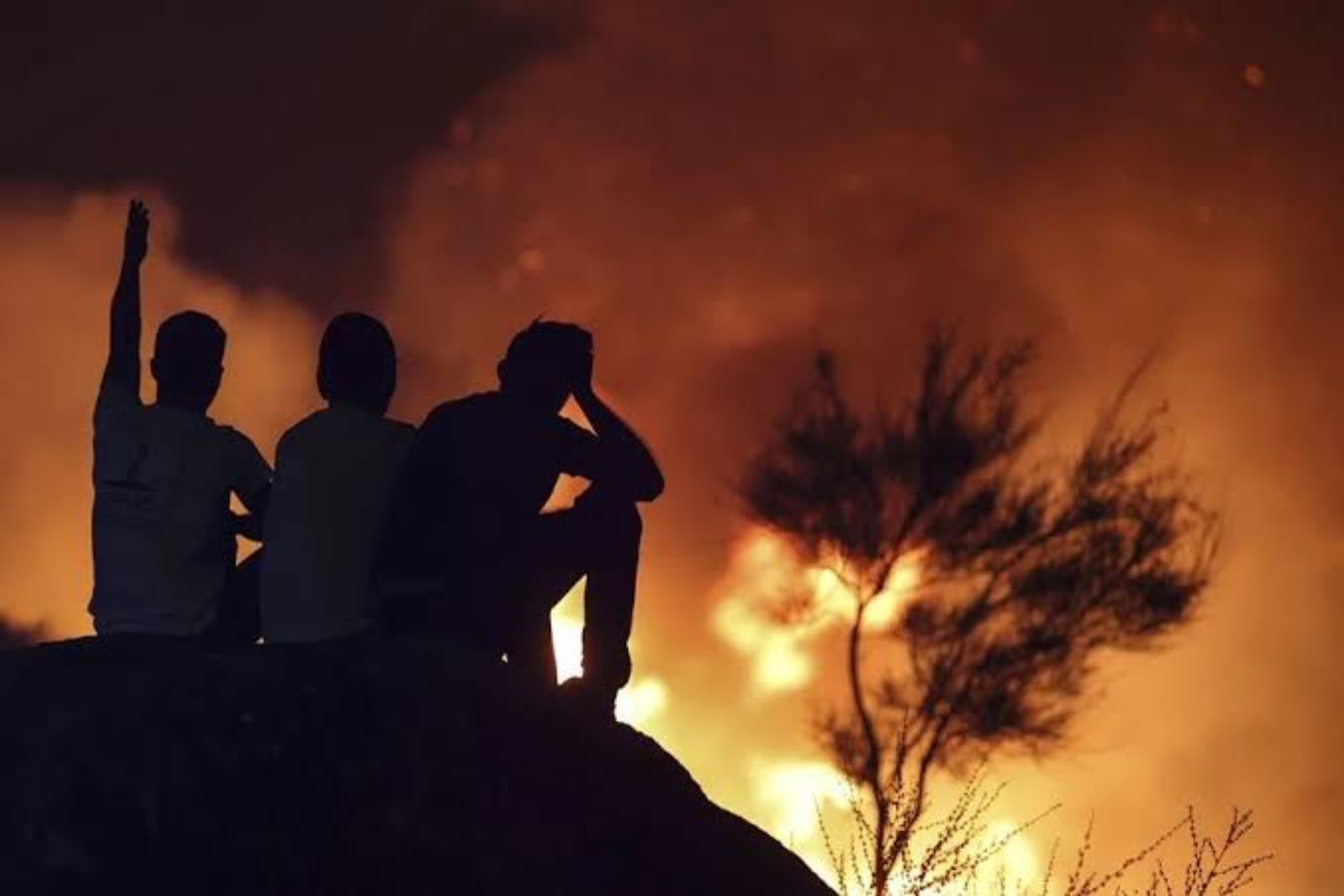 El sincero mensaje de un bombero de Alicante a los vecinos afectados por los incendios: “Es difícil de entender, pero hay momentos en los que es mejor estar parado”