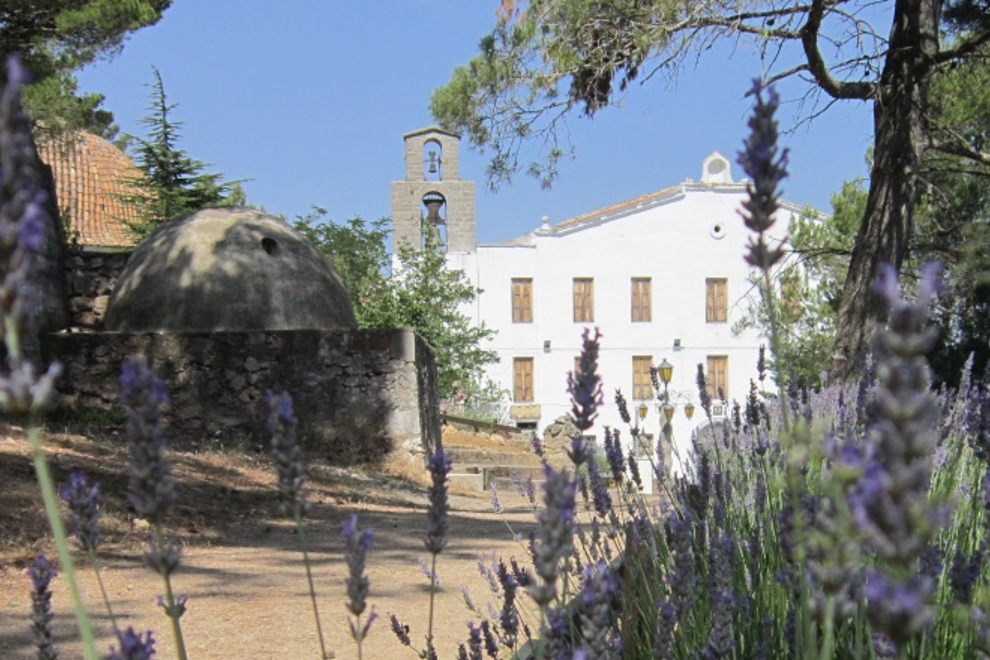 Así es Altura, el pueblo de Valencia que participa hoy en el 'Grand Prix': con un reconocido aceite de oliva y el Santuario de la Cueva Santa