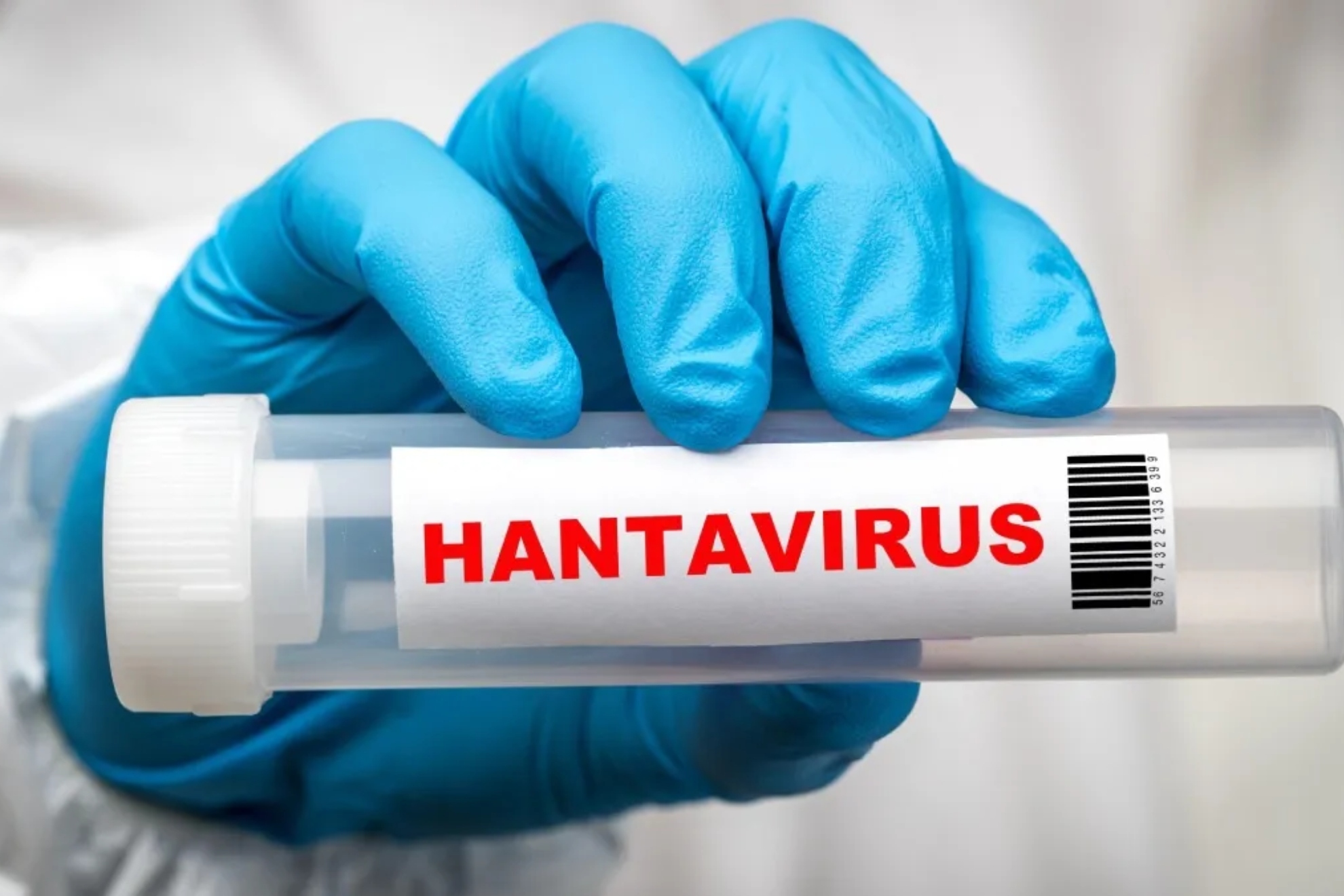 El turista que dio positivo por hantavirus en Galicia permanece aislado con dos contactos estrechos que son asintomáticos