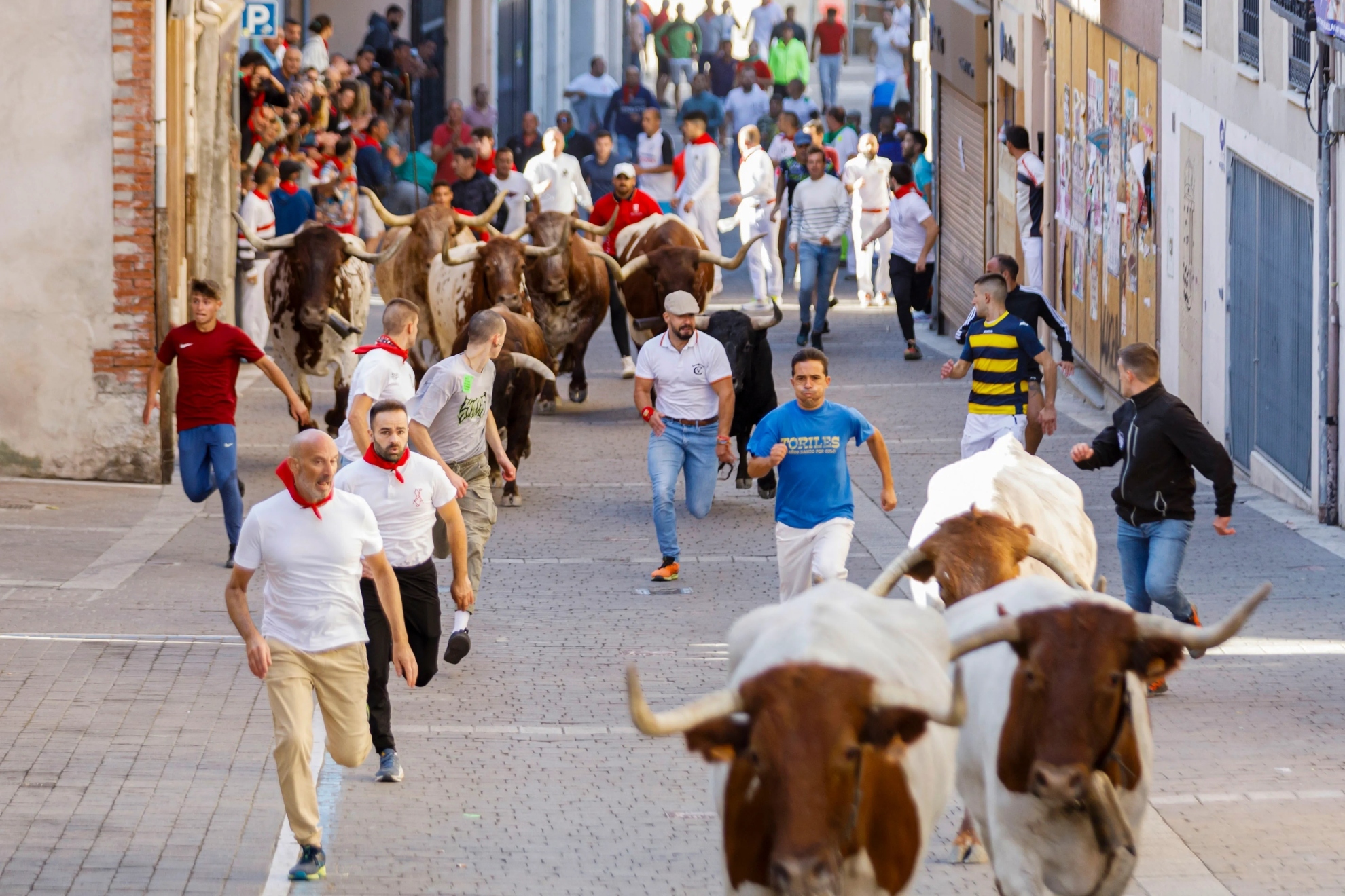 Un toro embiste a una mujer de 55 años en los encierros de Cuéllar: herida tras darse un golpe en la cabeza